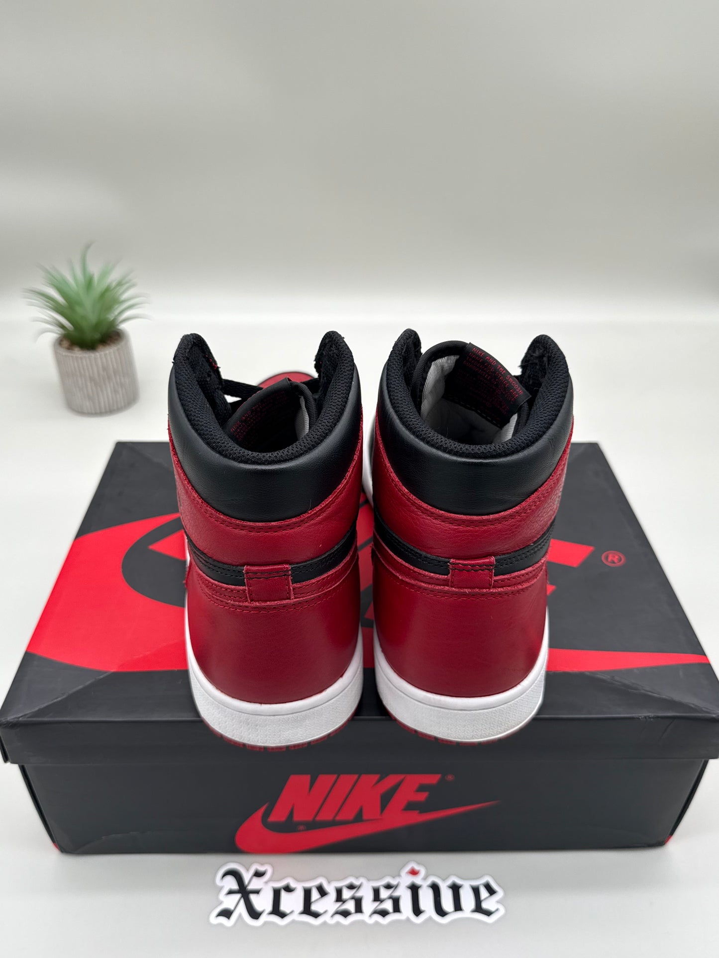 Jordan 1 Banned (2016)