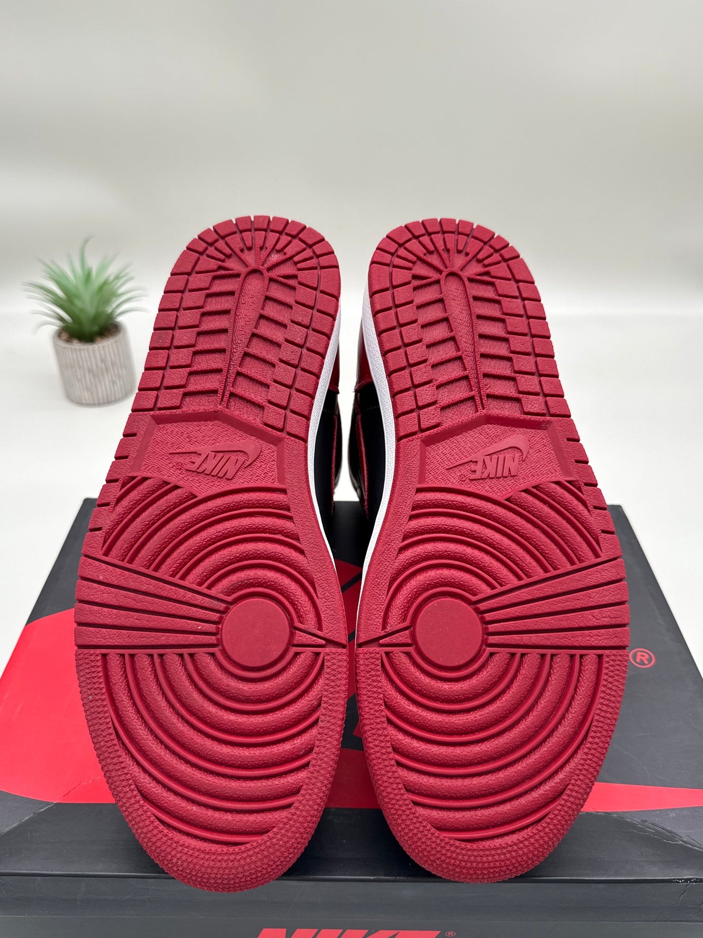 Jordan 1 Banned (2016)