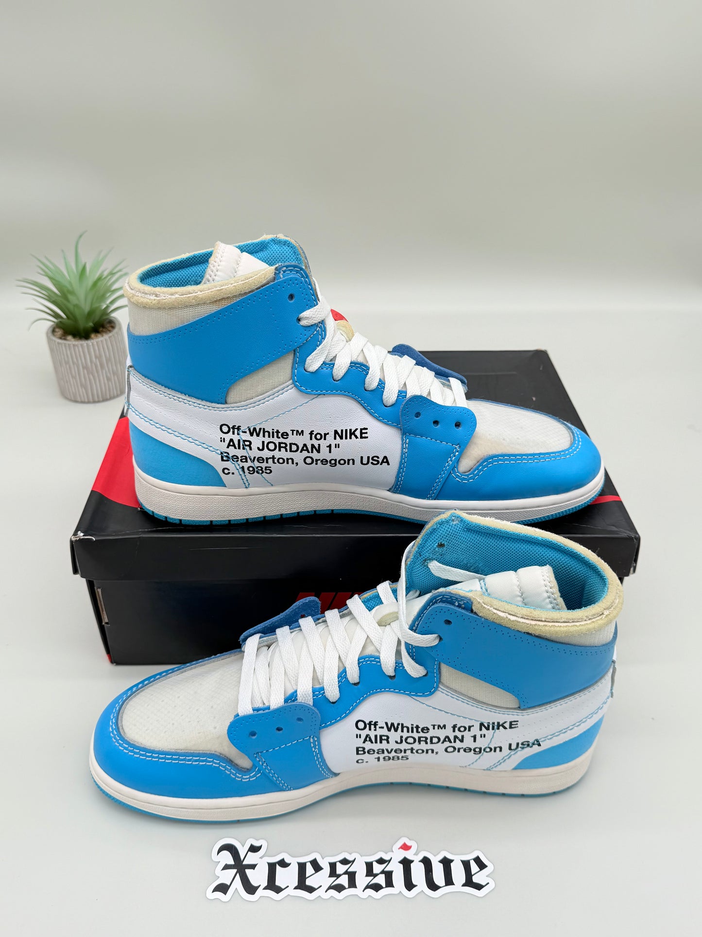 Off-White Jordan 1 UNC