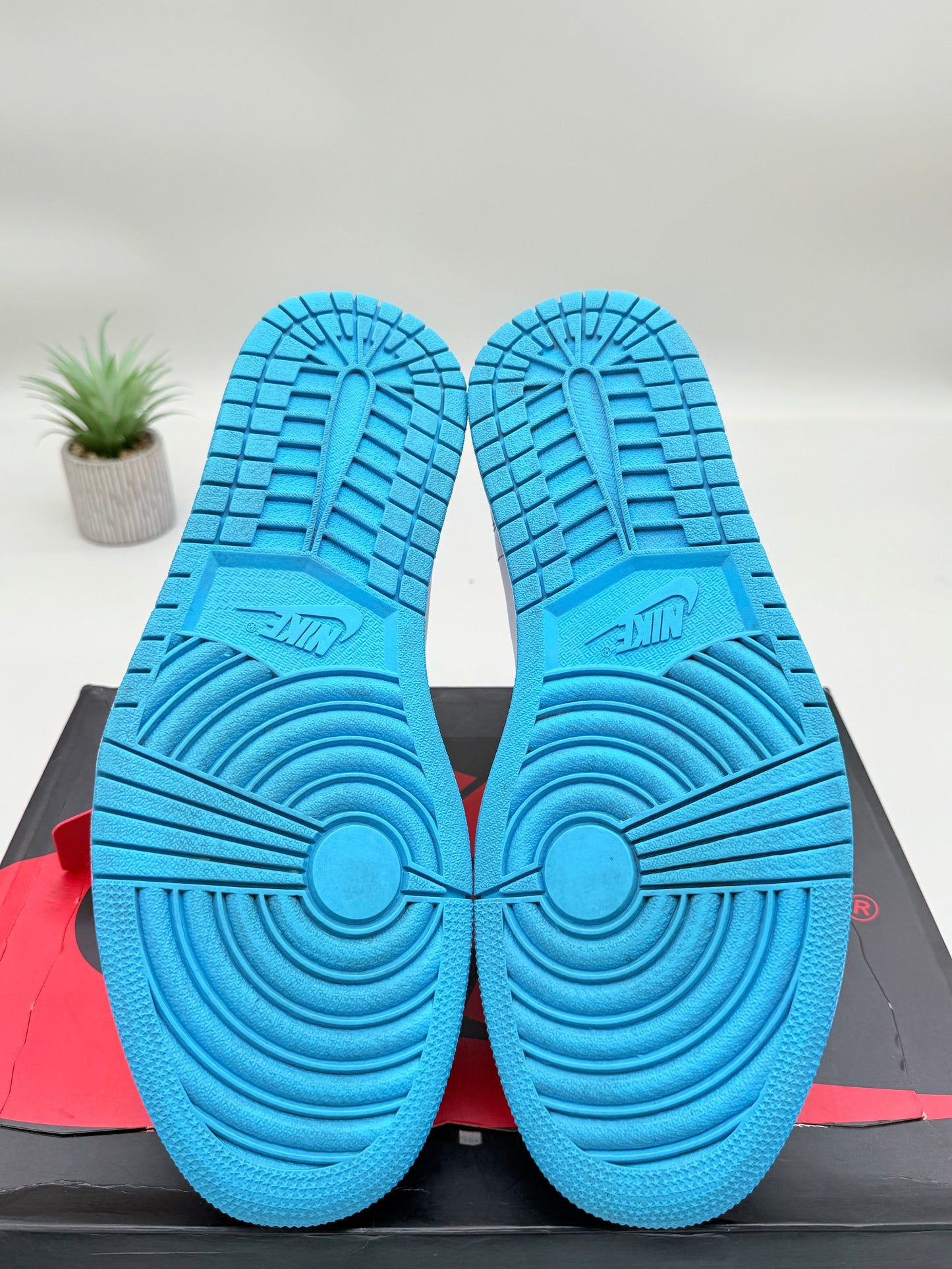 Off-White Jordan 1 UNC