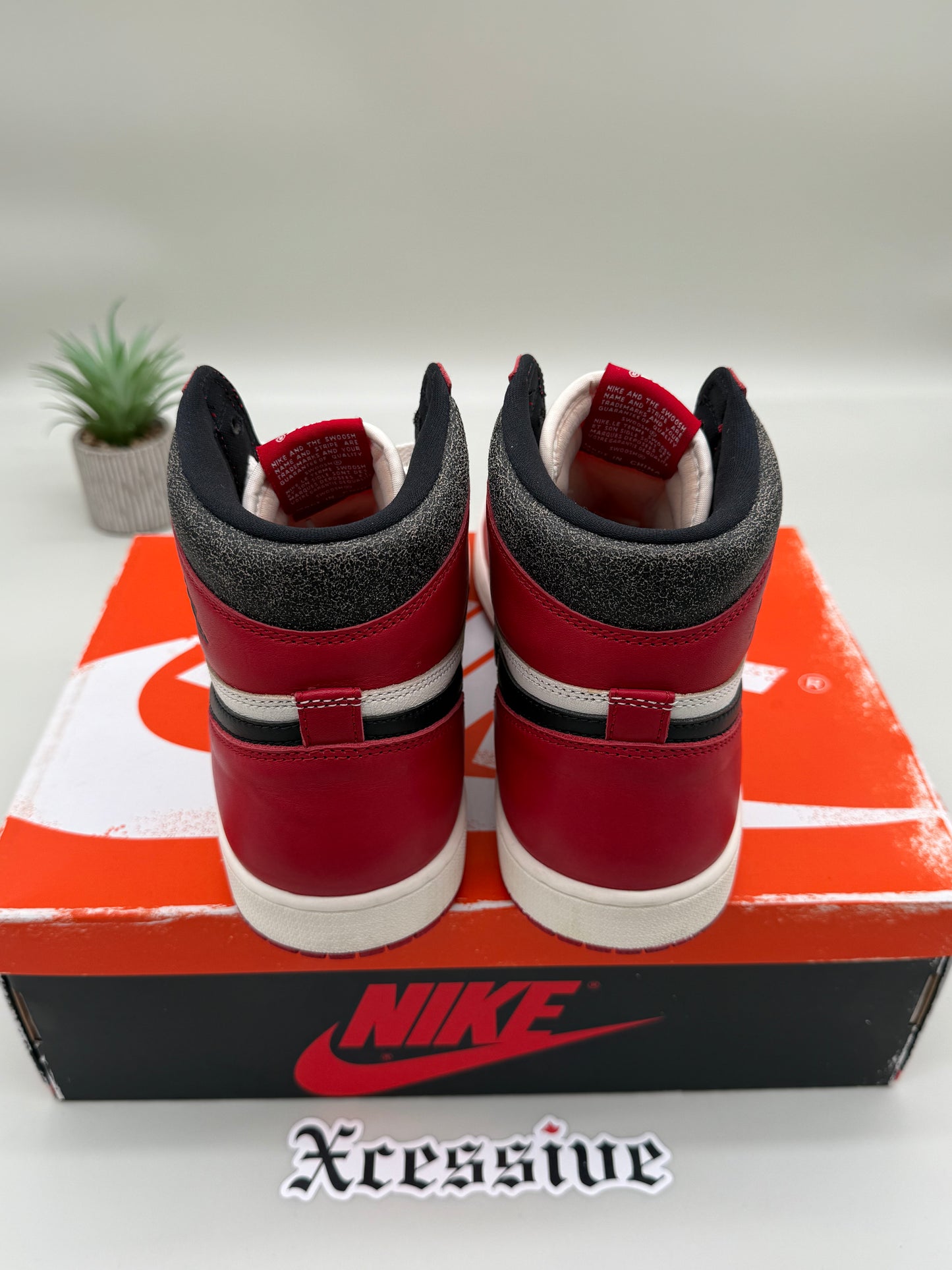 Jordan 1 Lost & Found
