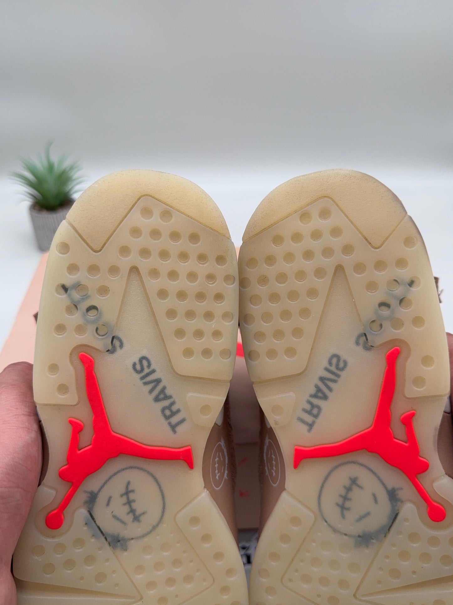 Jordan 6 Travis Scott British Khaki