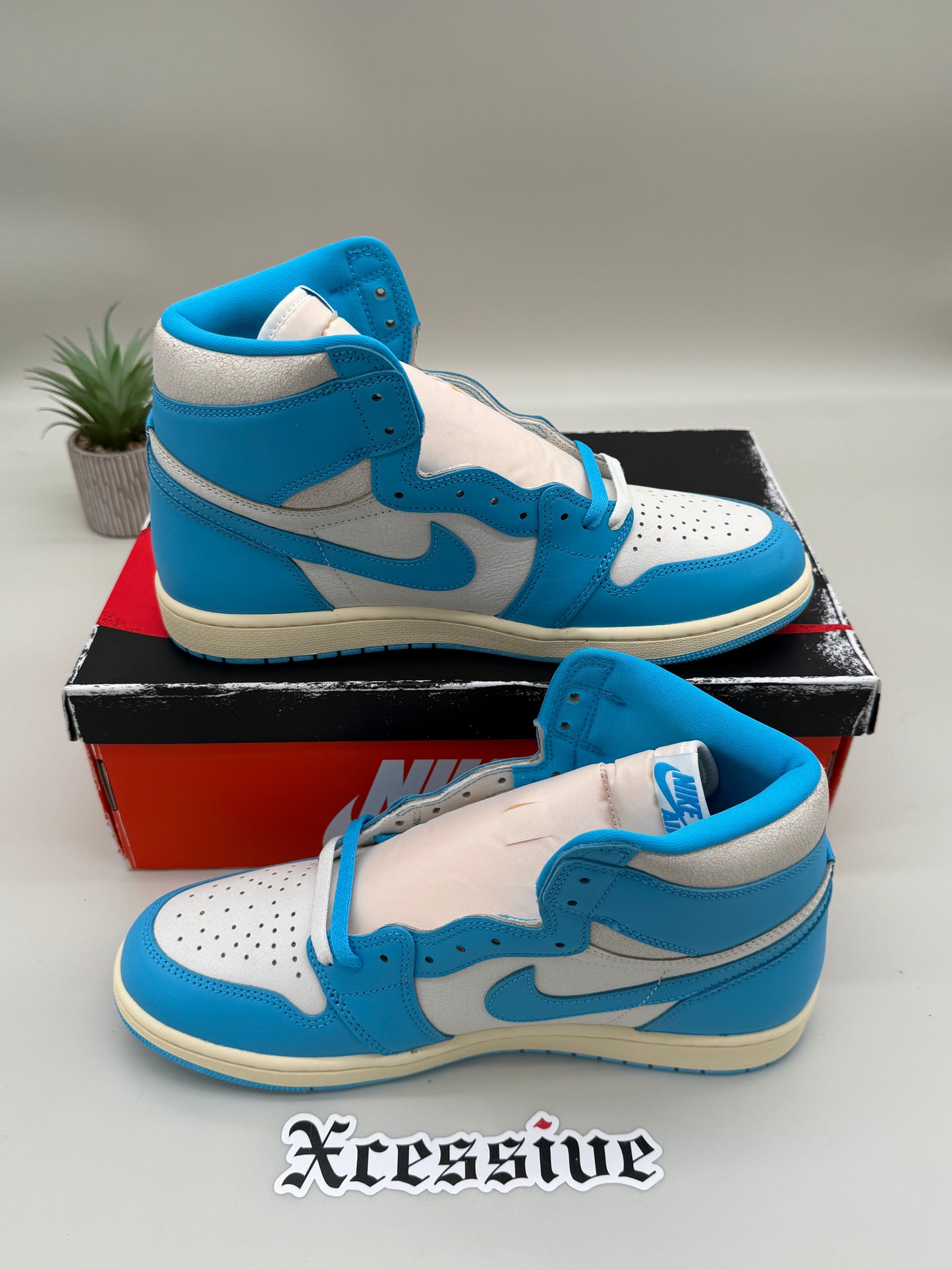 Jordan 1 UNC Reimagined