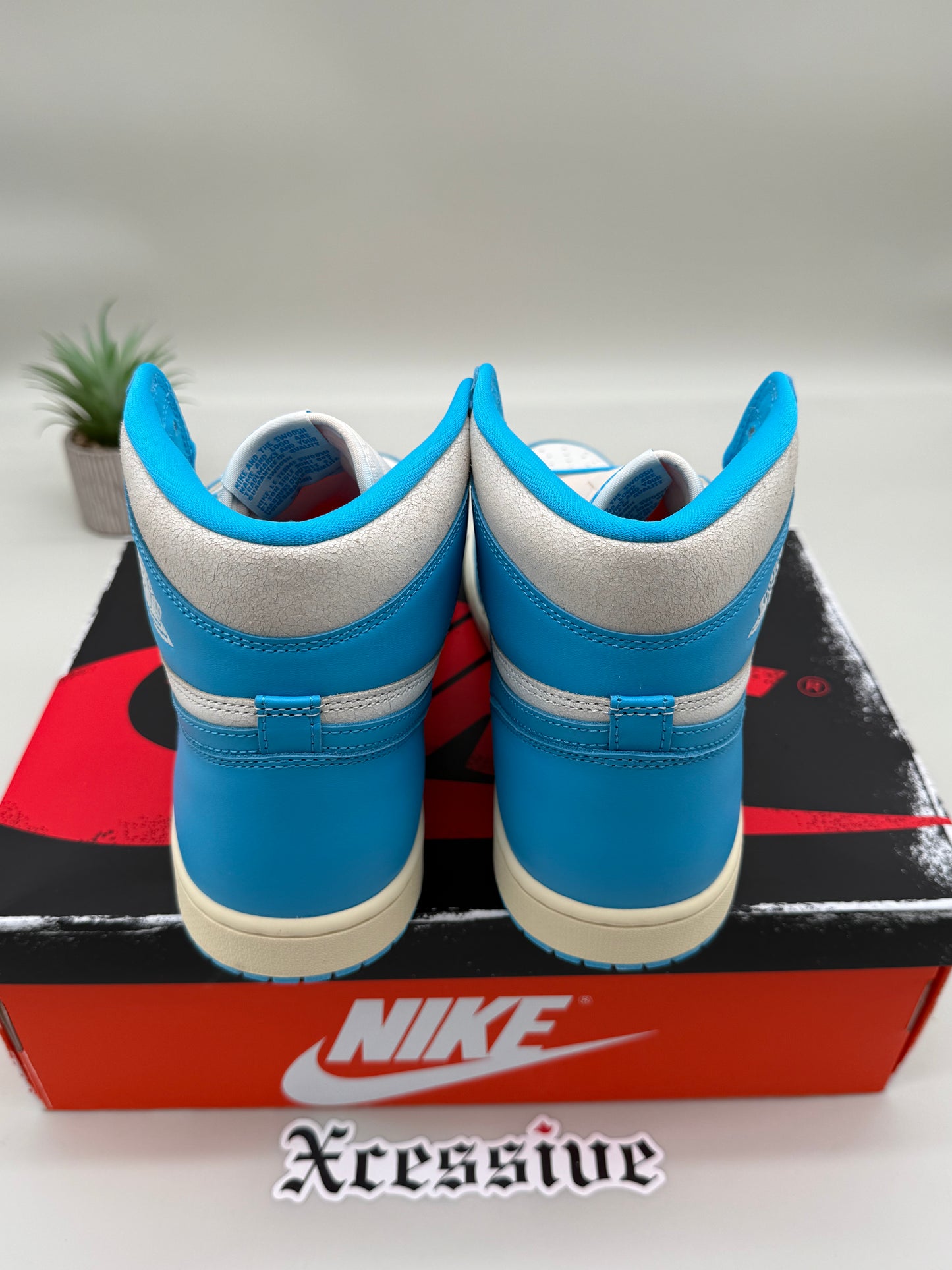 Jordan 1 UNC Reimagined