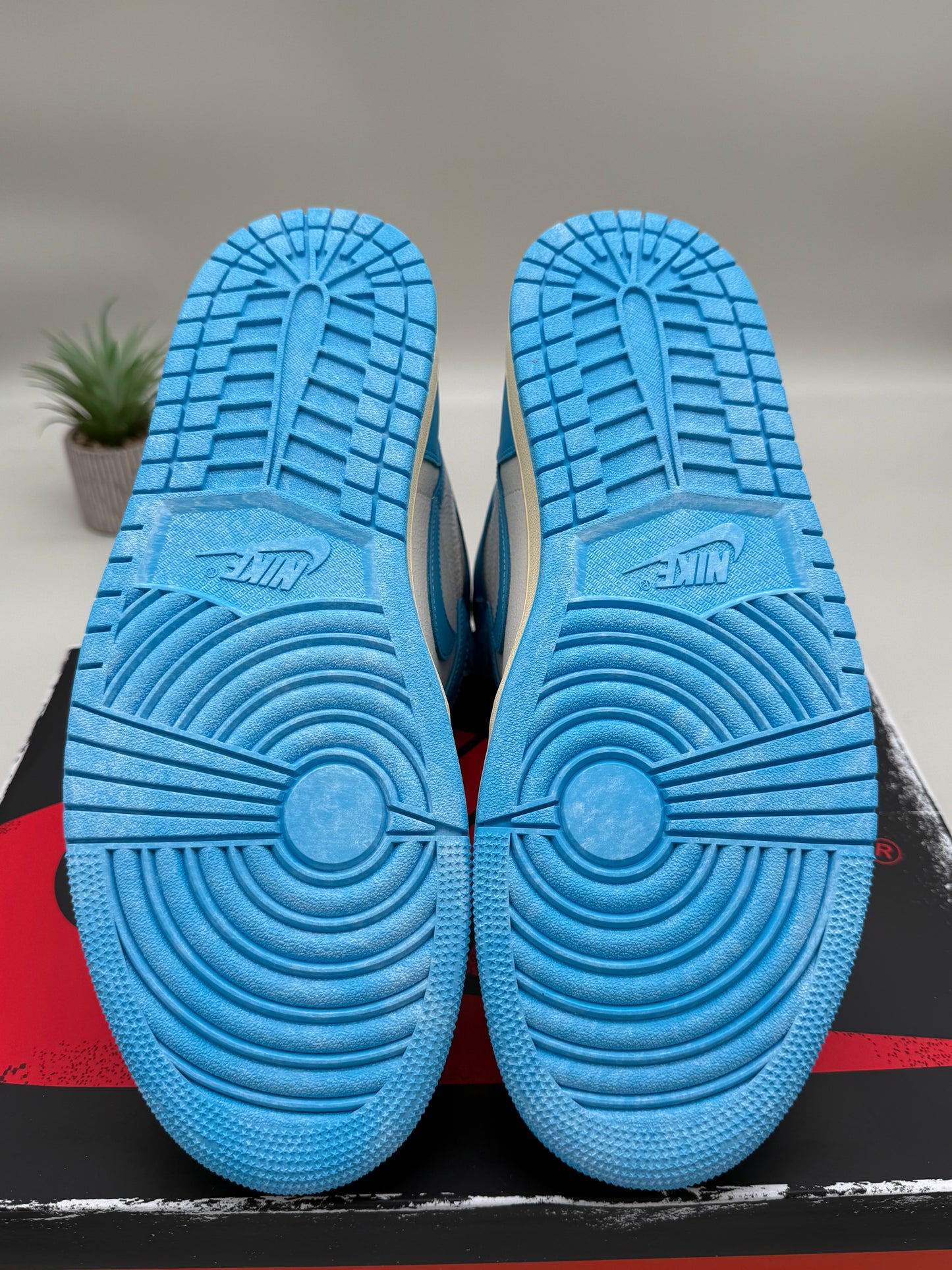 Jordan 1 UNC Reimagined