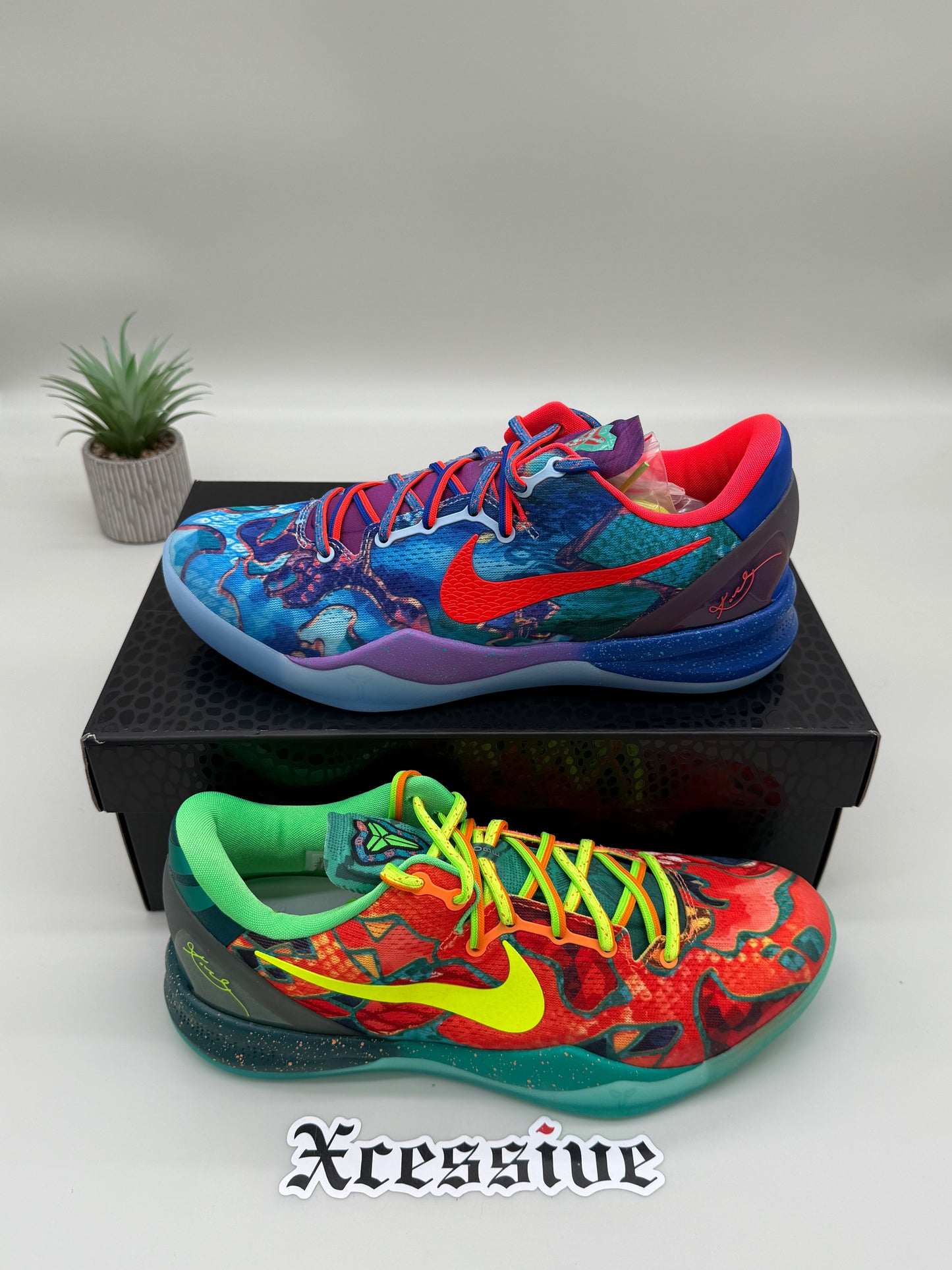 Nike Kobe 8 What The