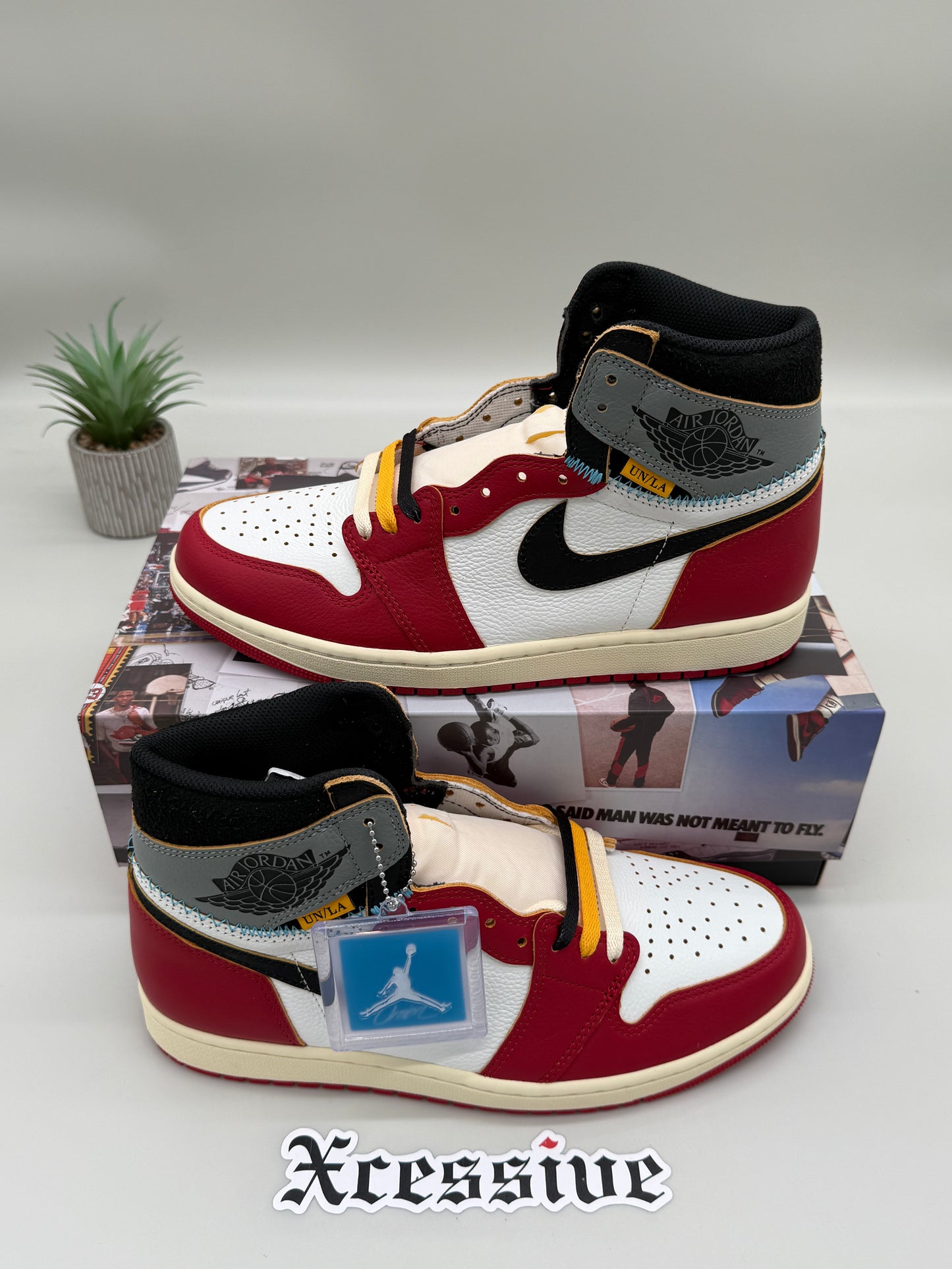 Jordan 1 Union Chicago Shadow