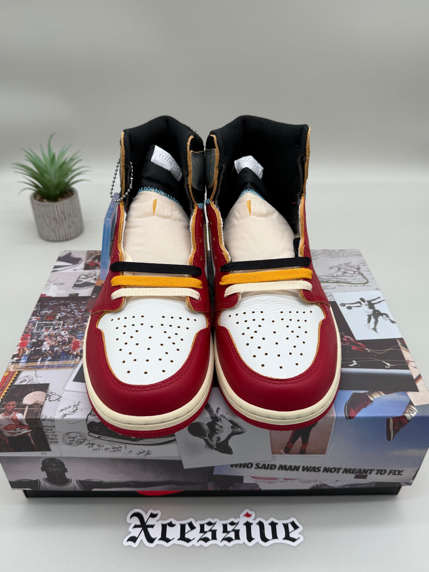 Jordan 1 Union Chicago Shadow