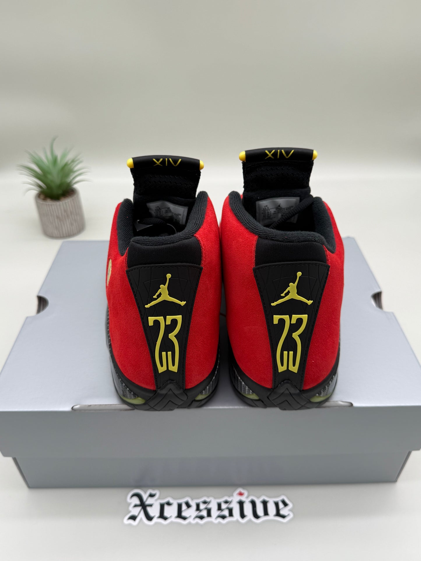 Jordan 14 Ferrari