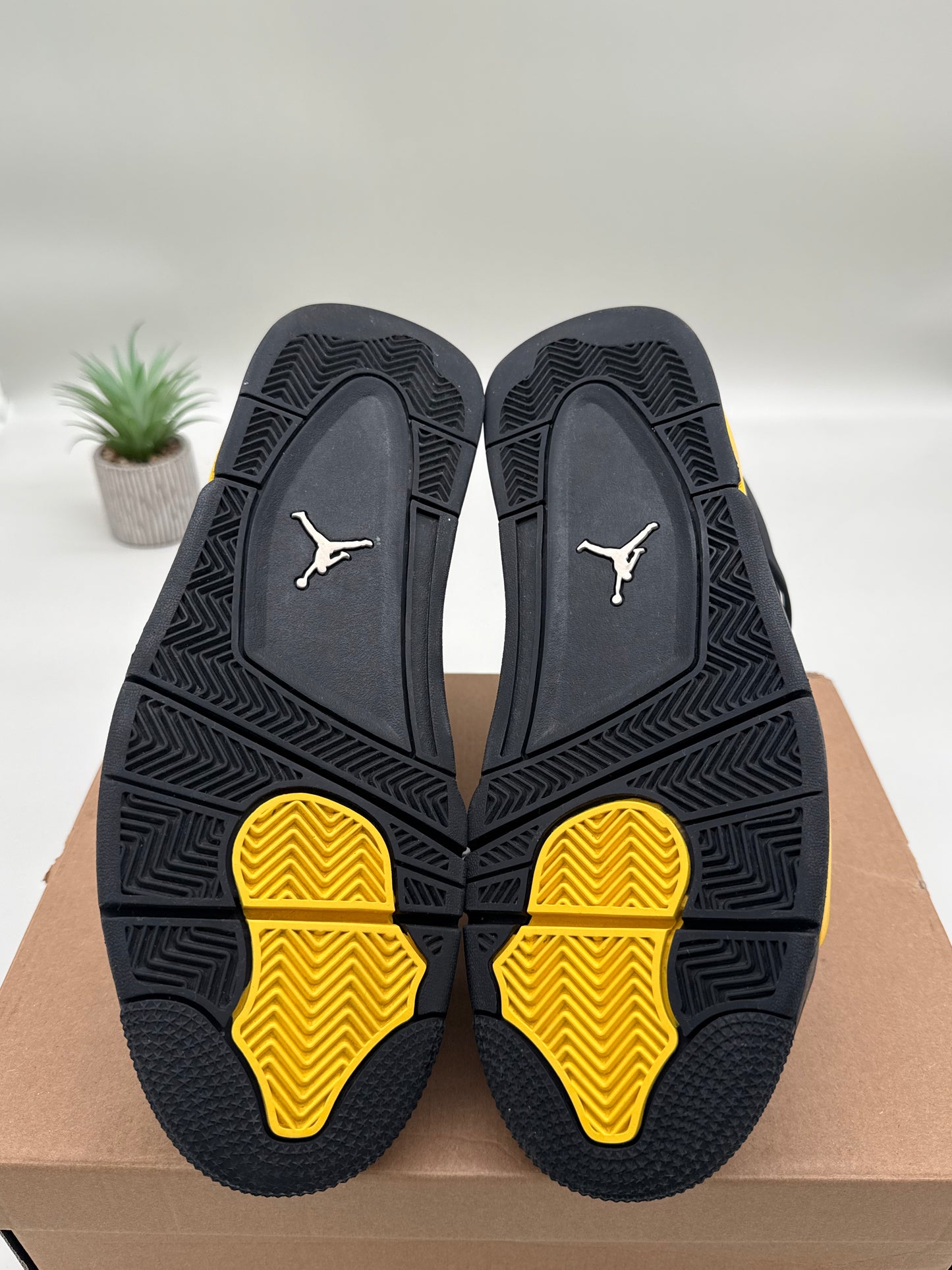 Jordan 4 Thunder