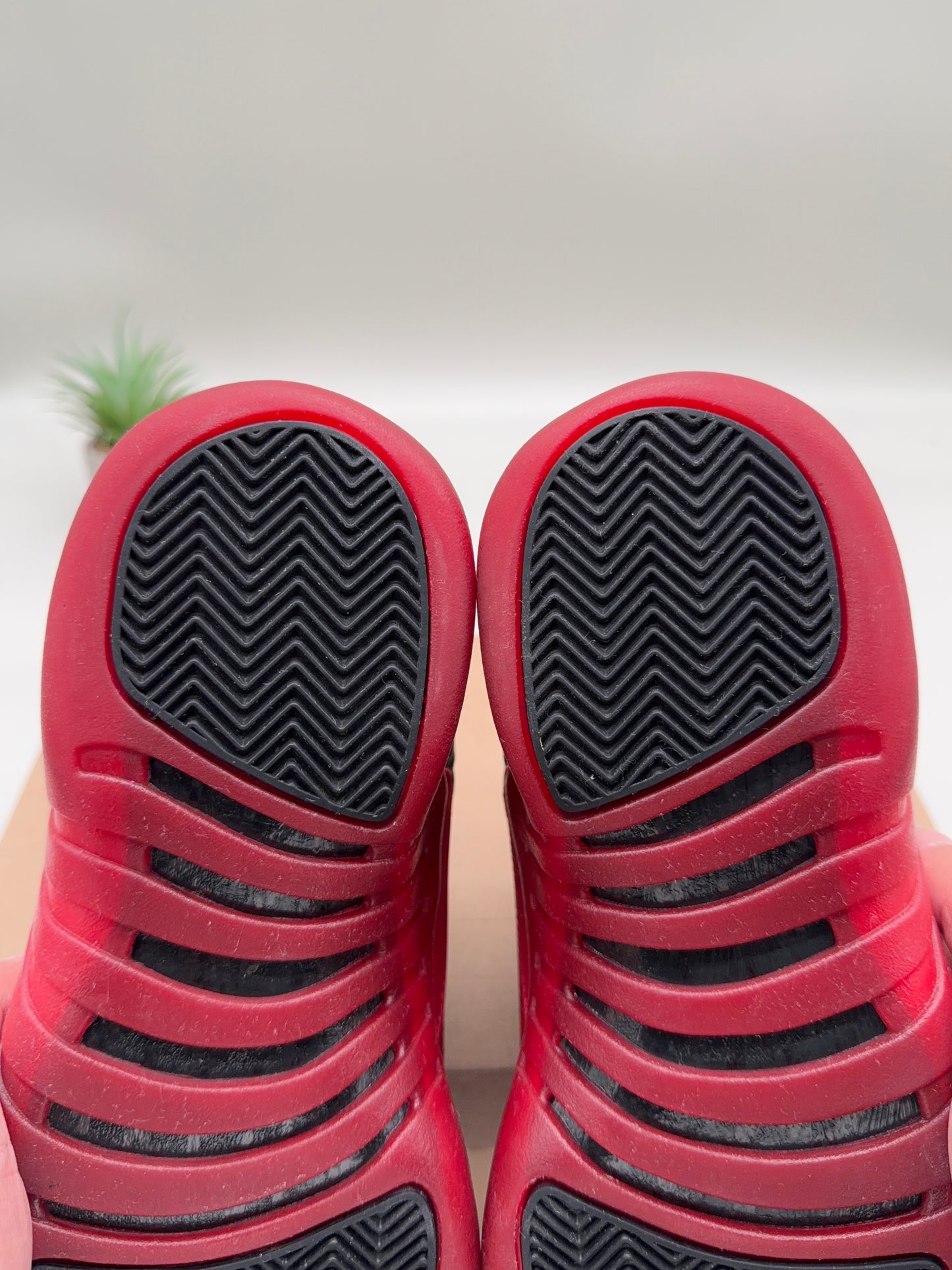 Jordan 12 Flu Game