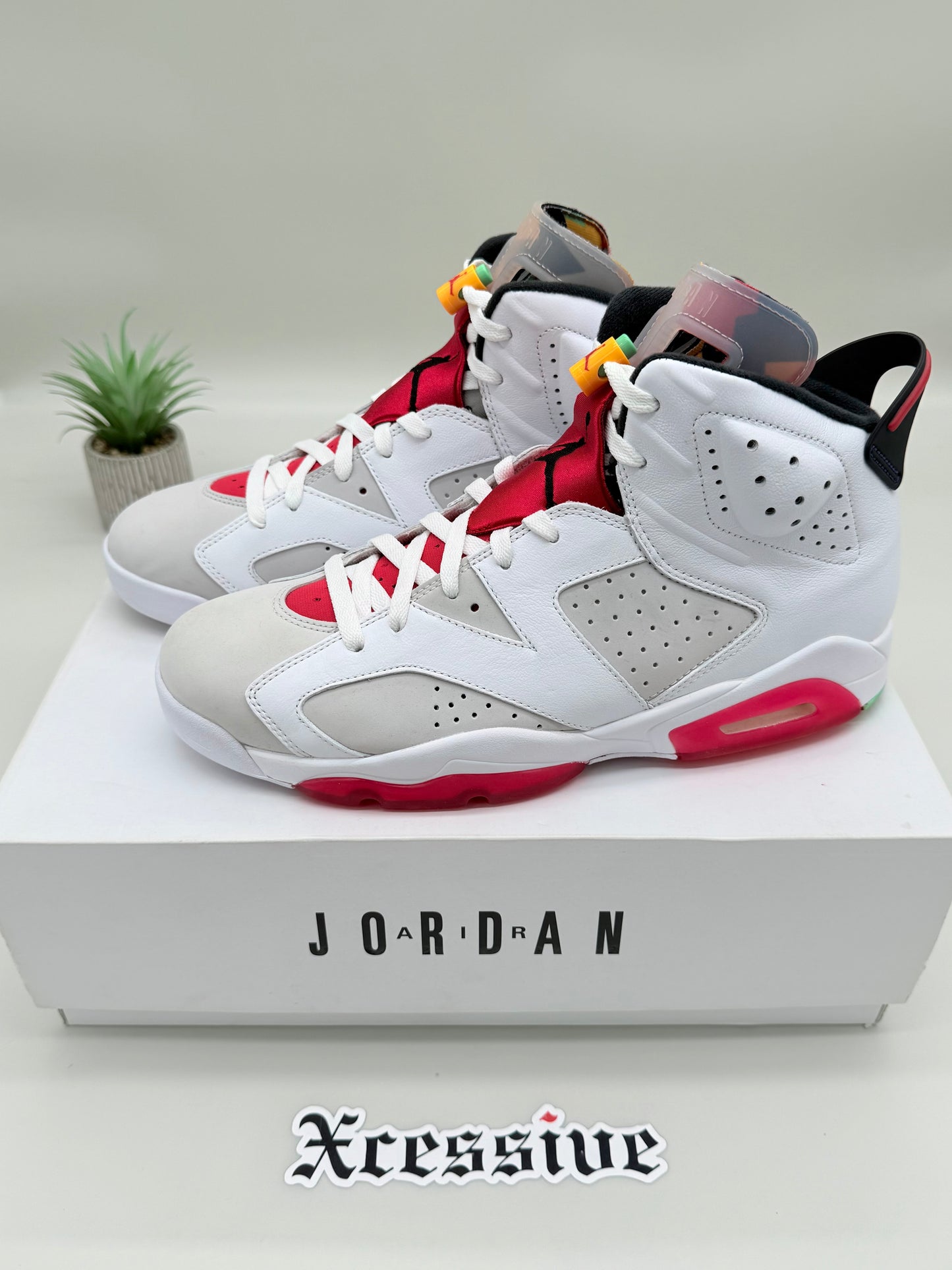 Jordan 6 Hare