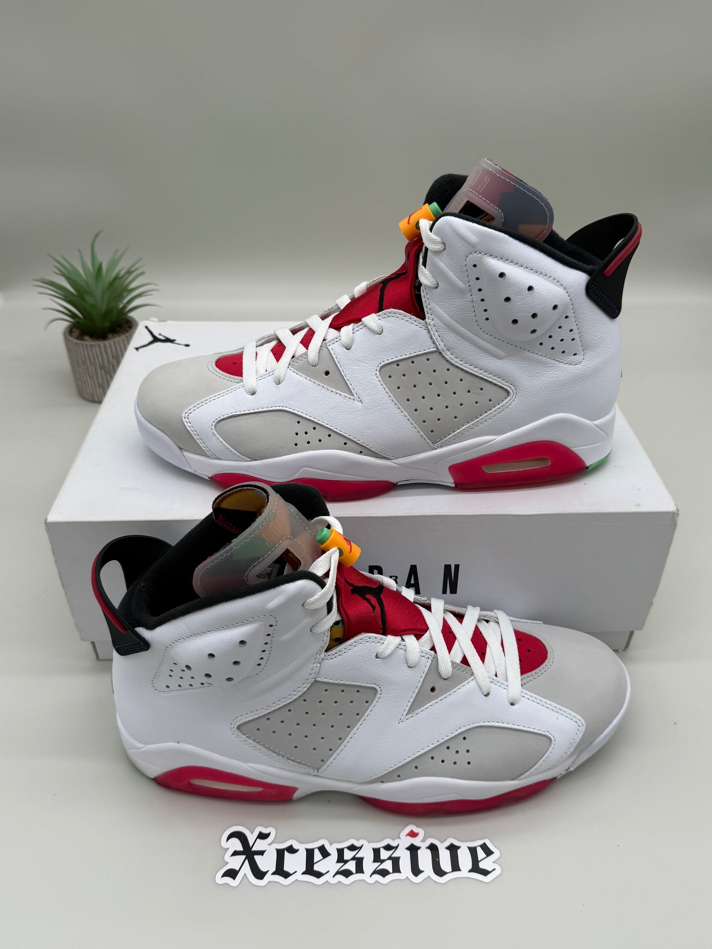 Jordan 6 Hare