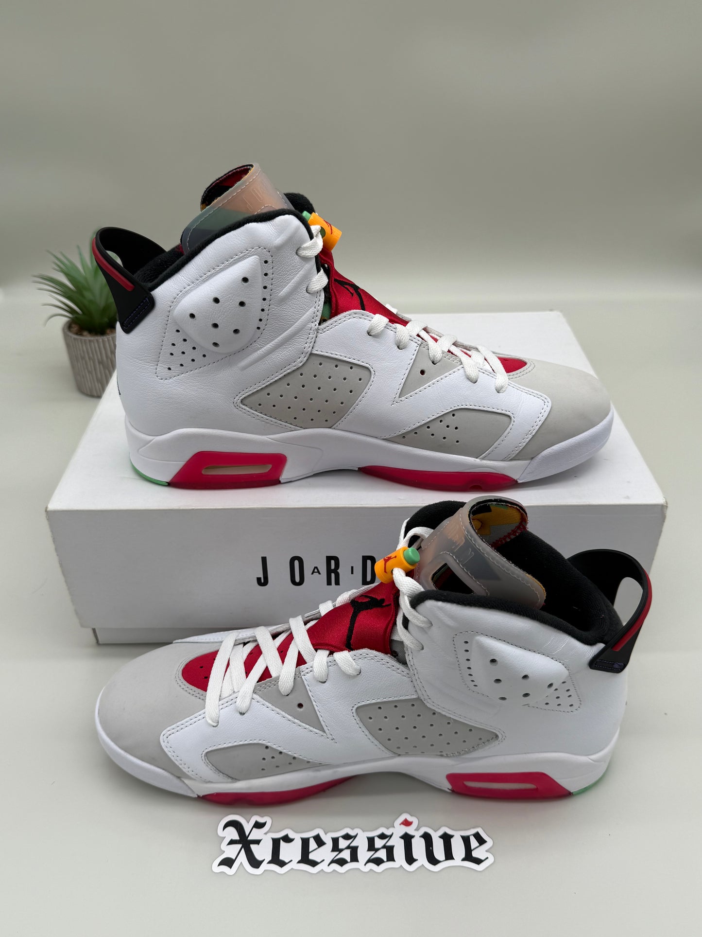 Jordan 6 Hare