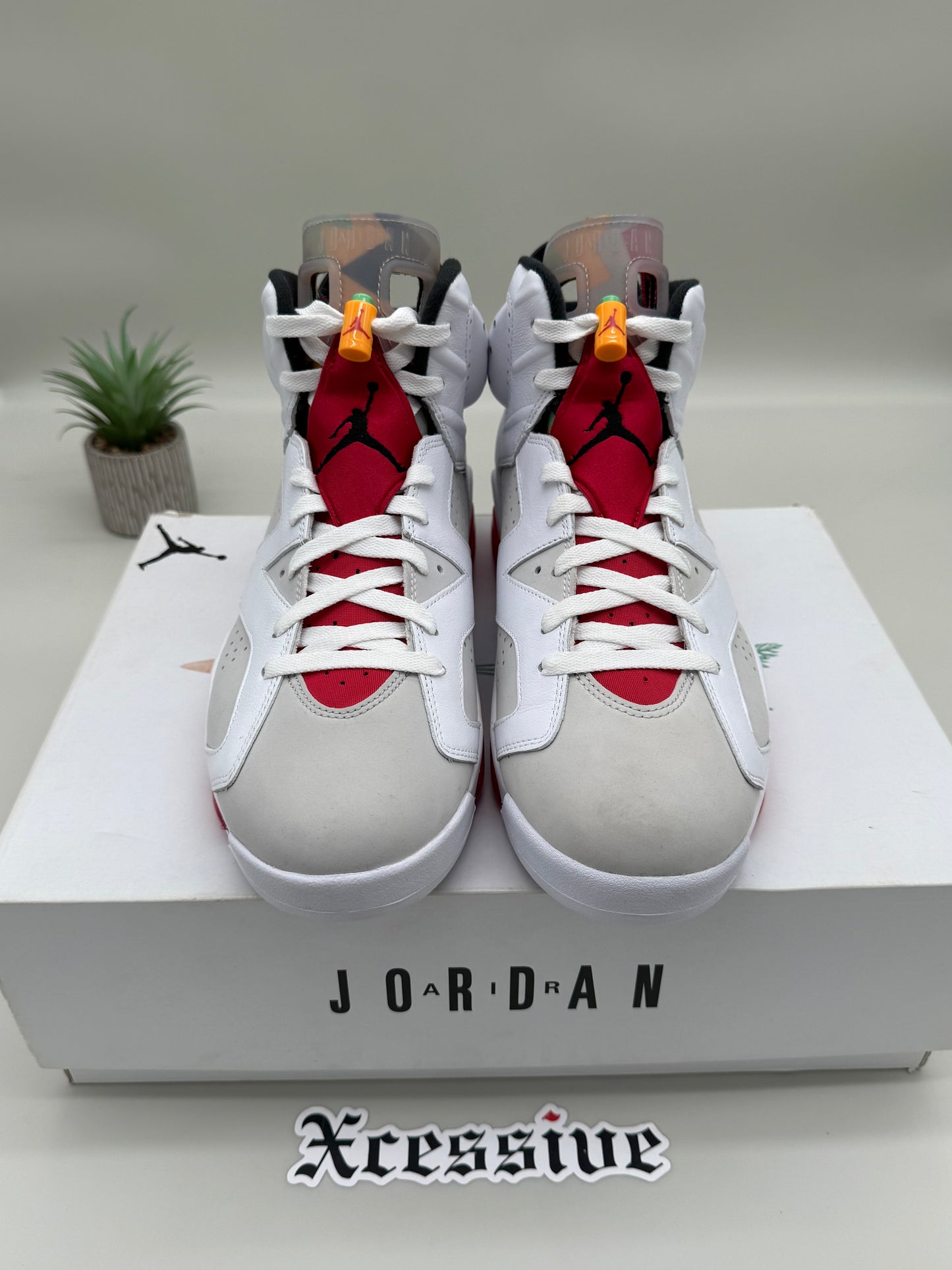 Jordan 6 Hare