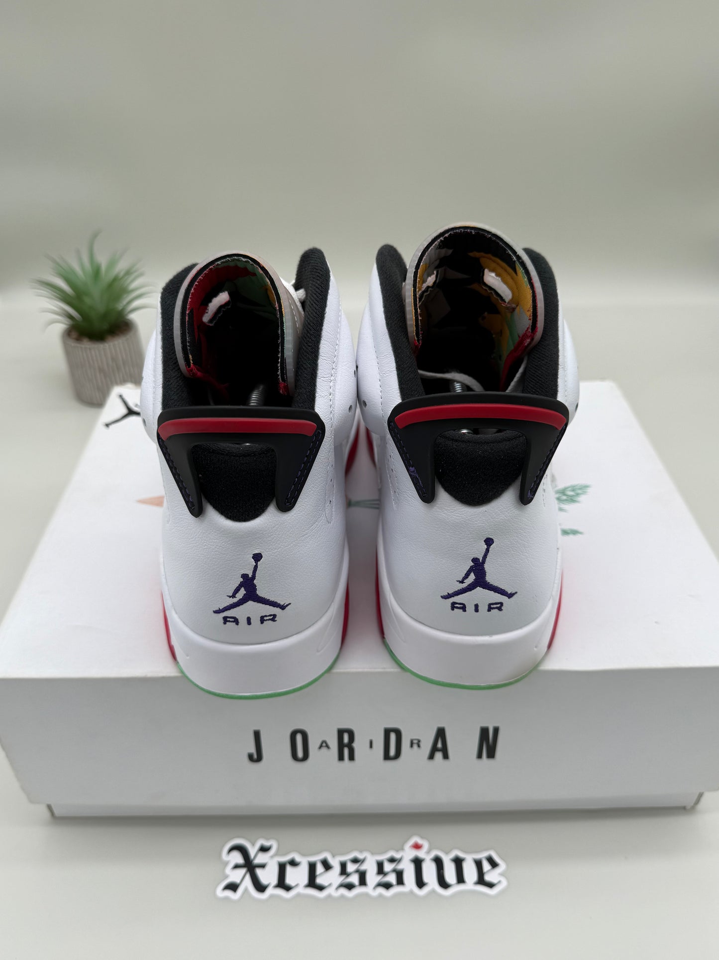 Jordan 6 Hare