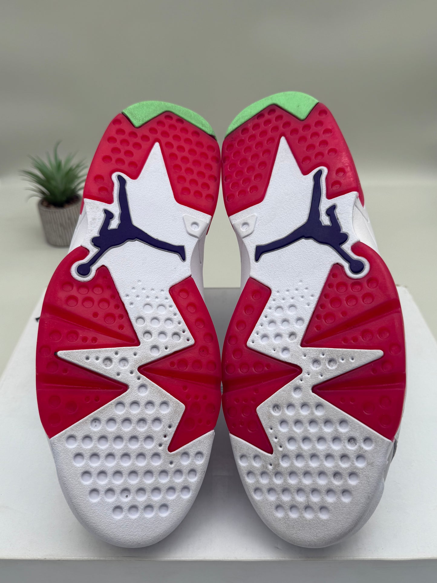 Jordan 6 Hare
