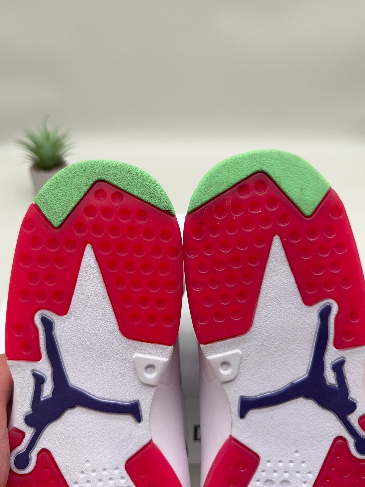 Jordan 6 Hare
