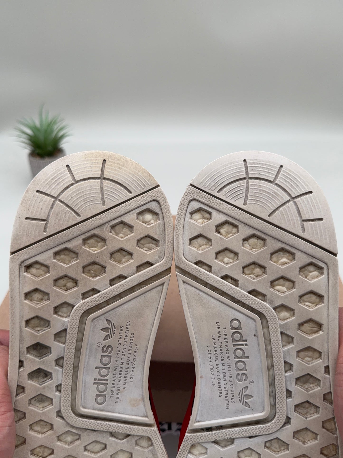 adidas NMD Pharrell Human Race Scarlet Red