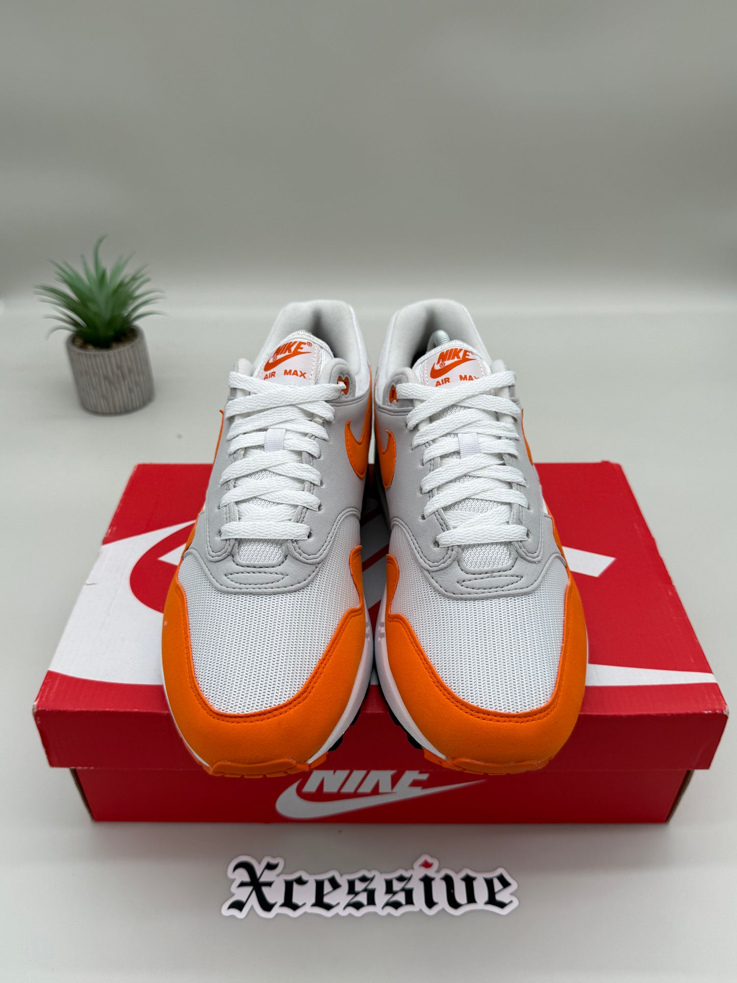 Nike Air Max 1 Anniversary Orange