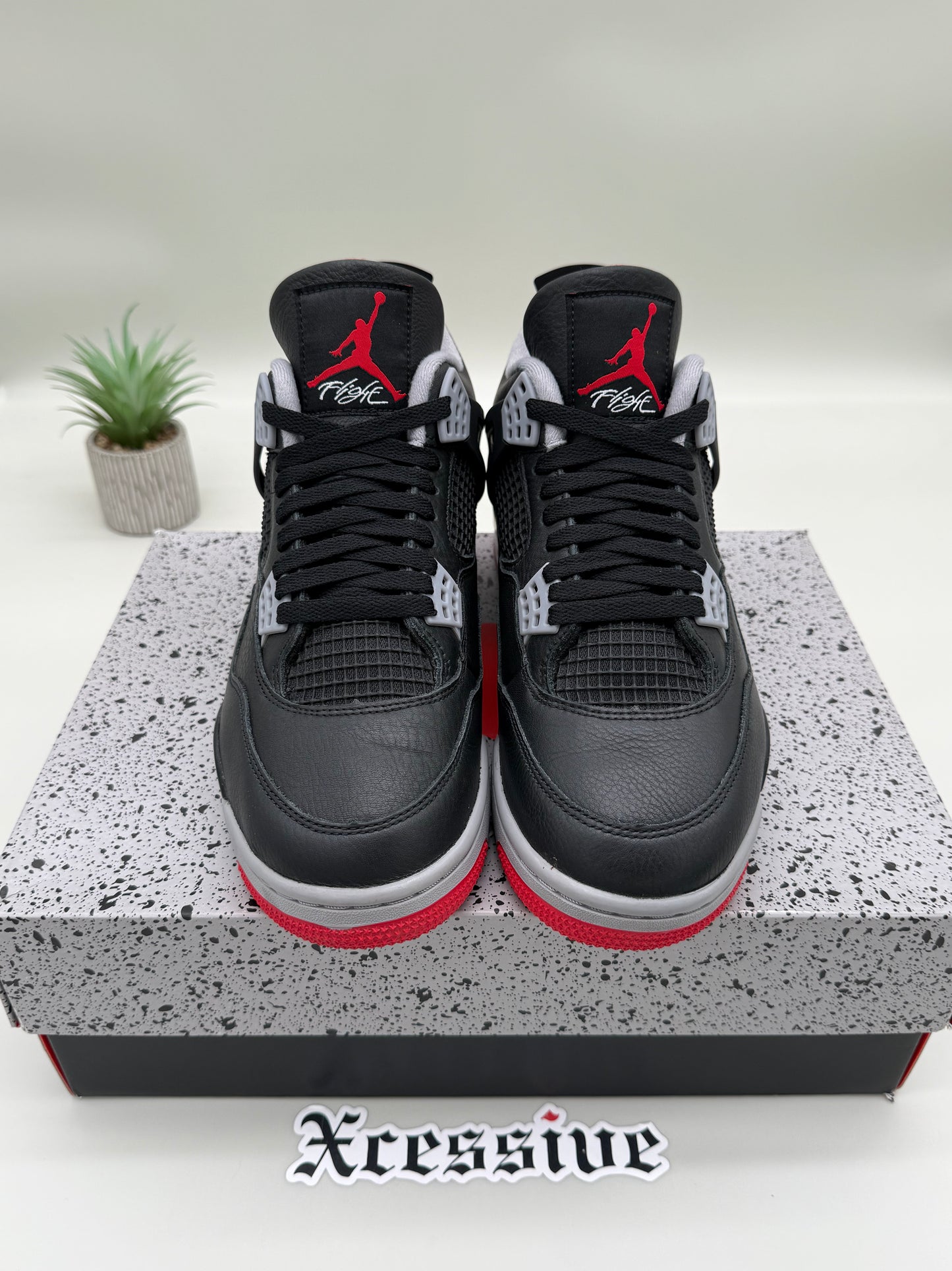 Jordan 4 Bred Reimagined