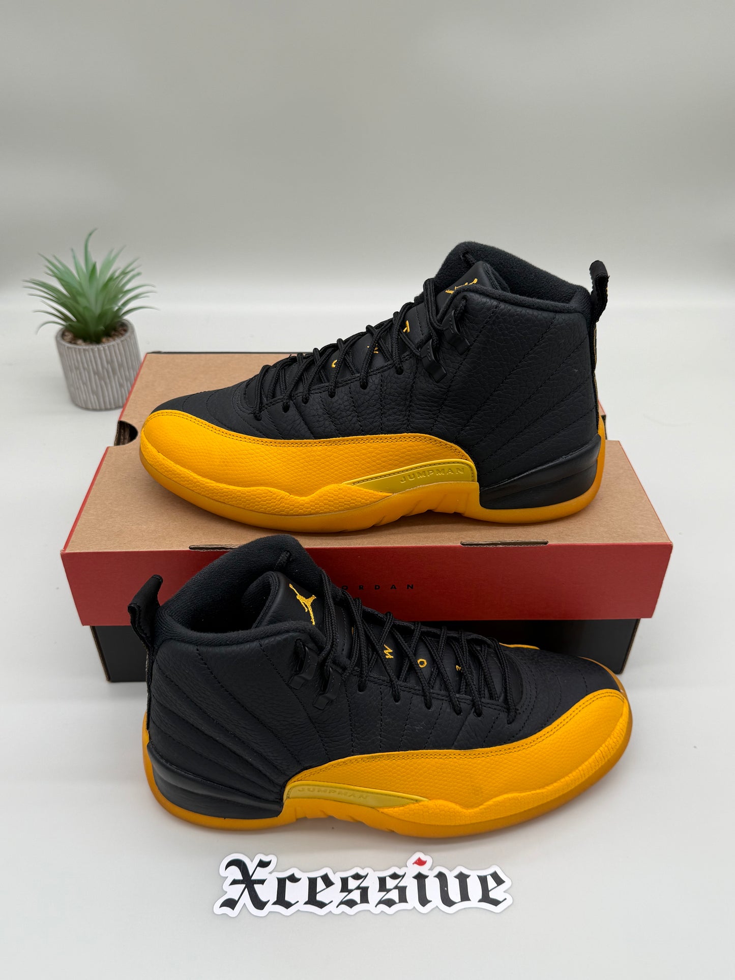 Jordan 12 University Gold