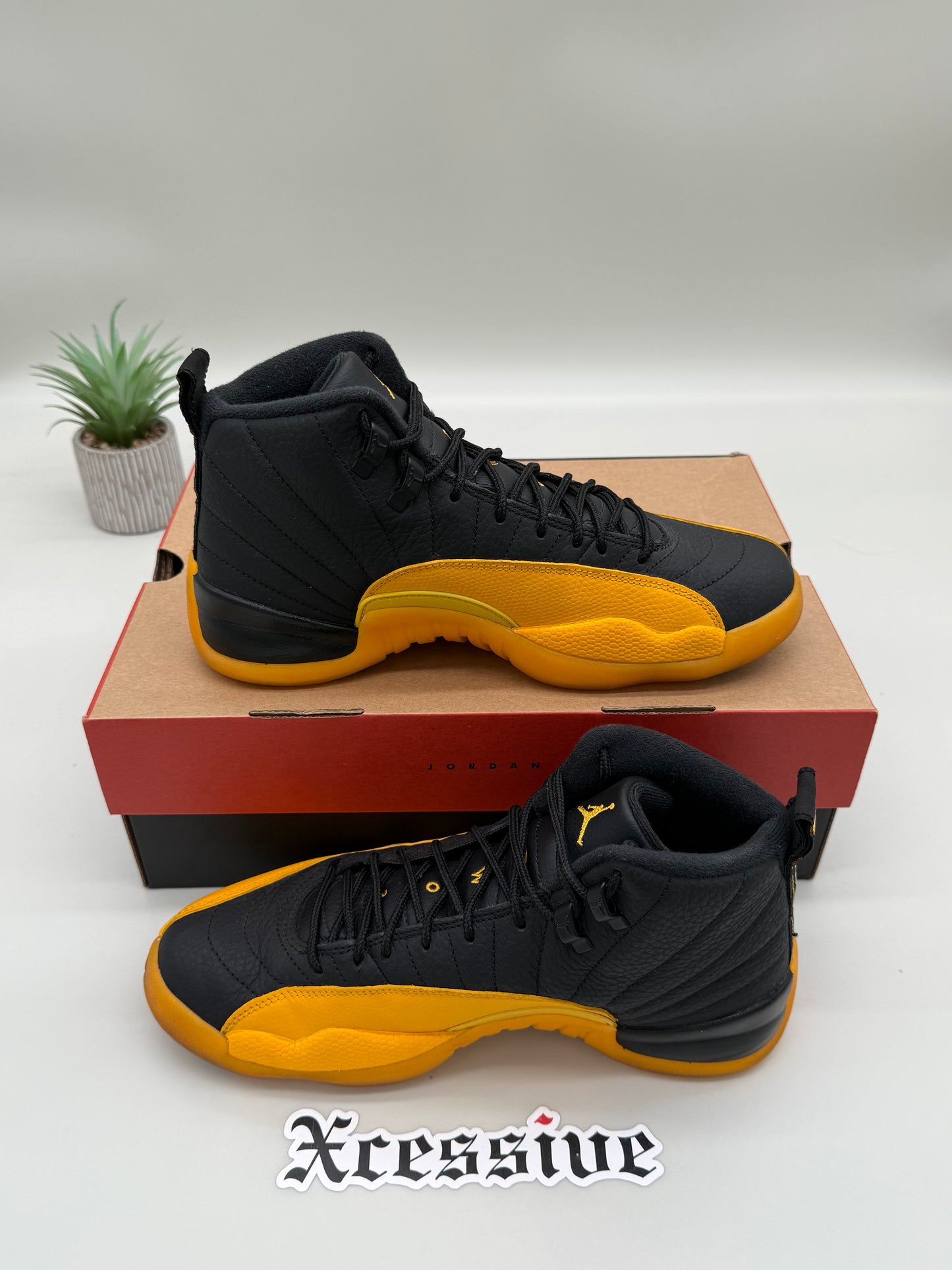 Jordan 12 University Gold