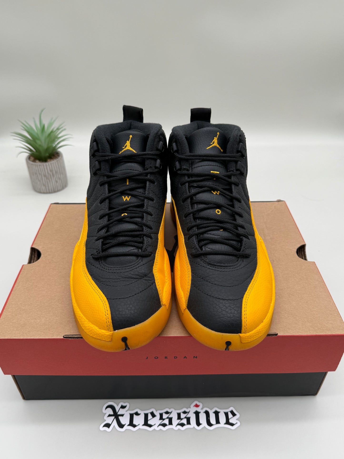 Jordan 12 University Gold