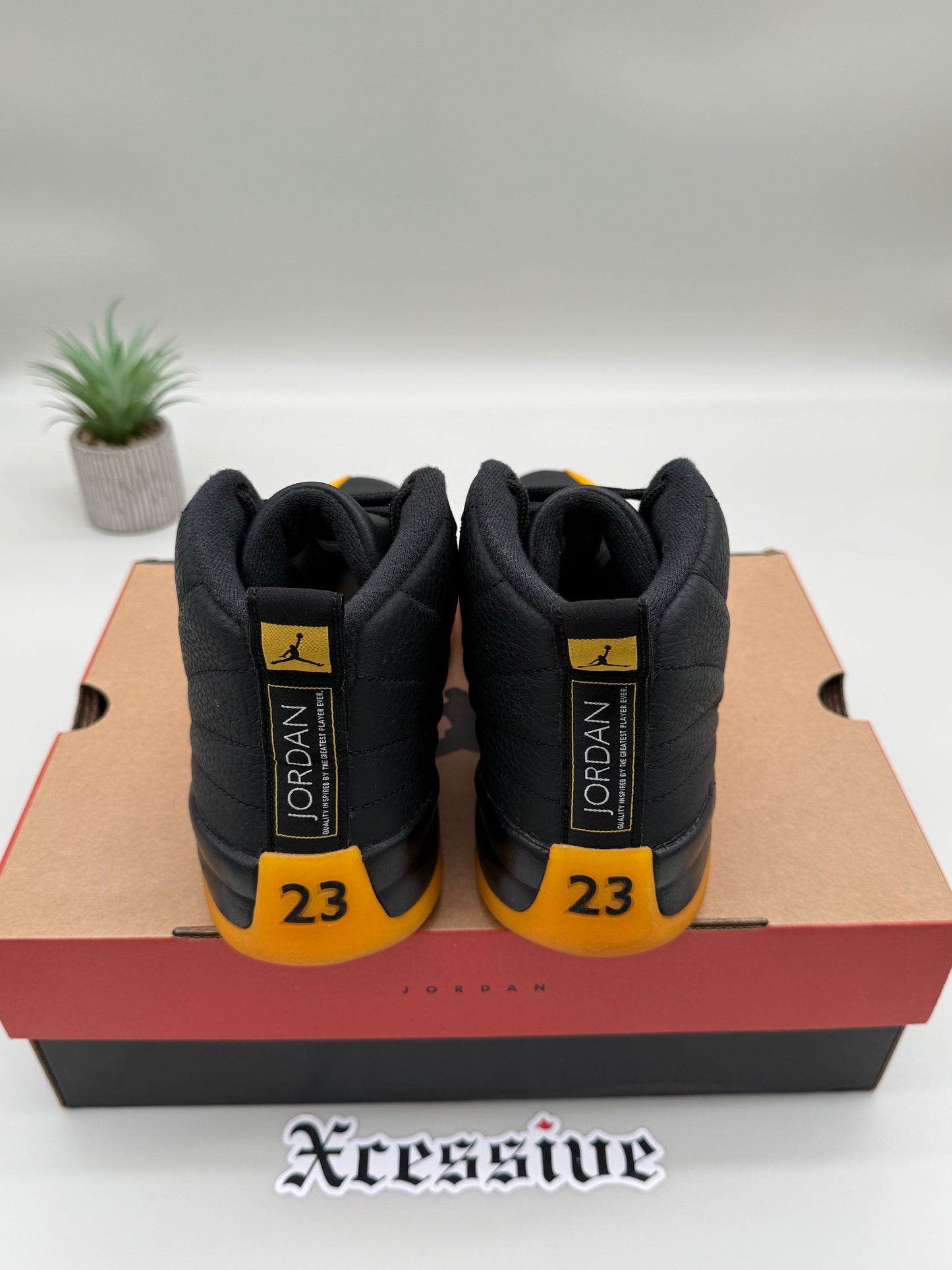 Jordan 12 University Gold