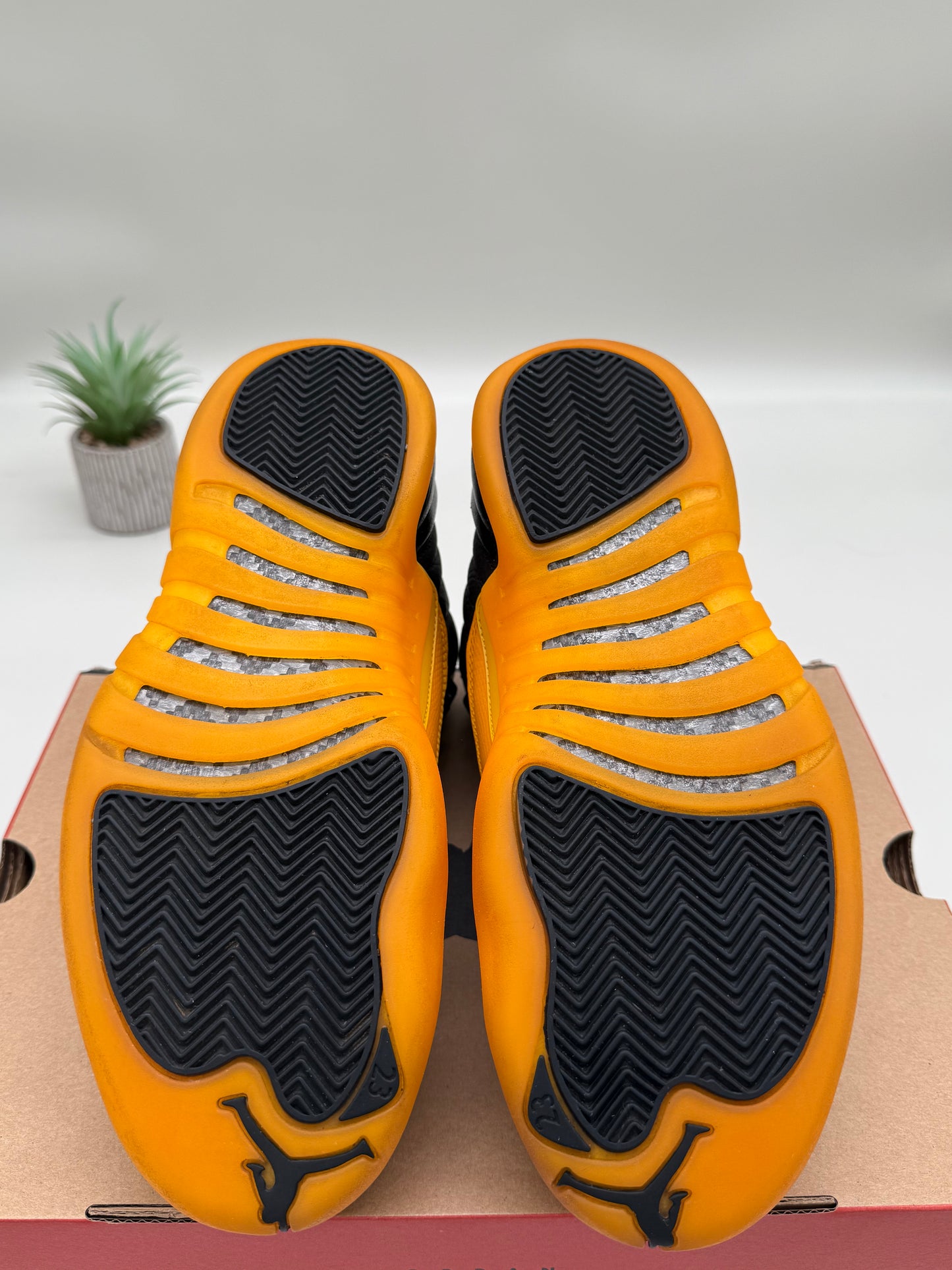 Jordan 12 University Gold