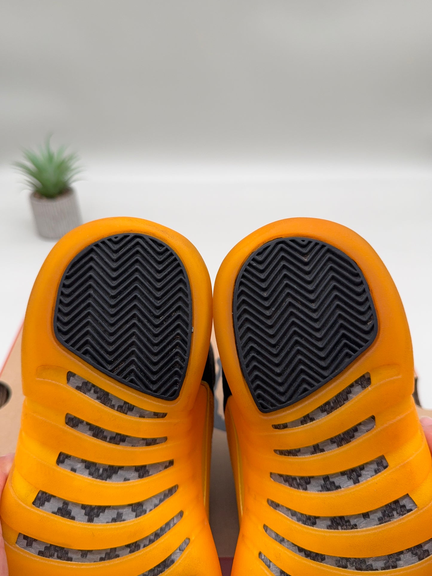 Jordan 12 University Gold
