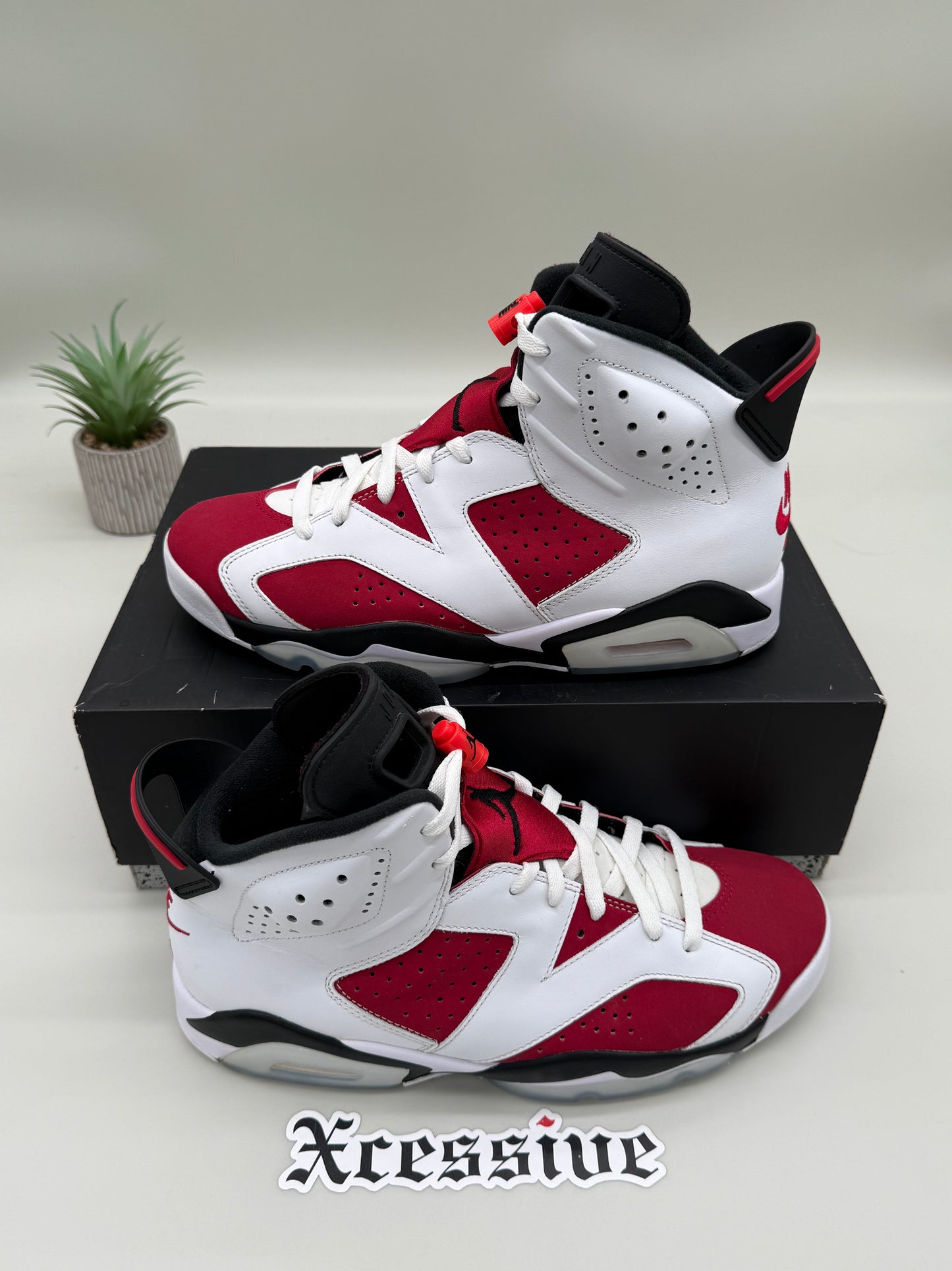 Jordan 6 Carmine