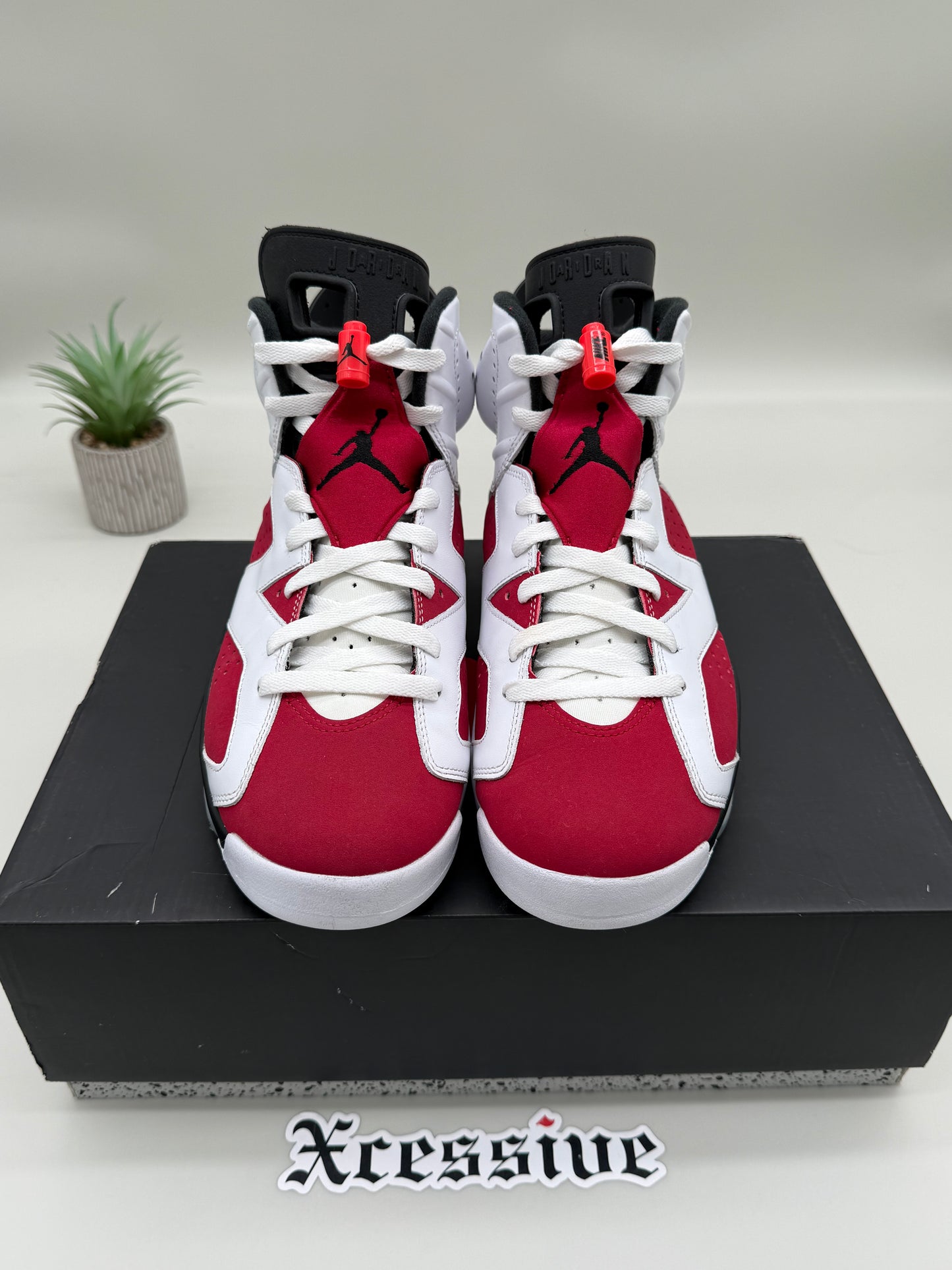 Jordan 6 Carmine