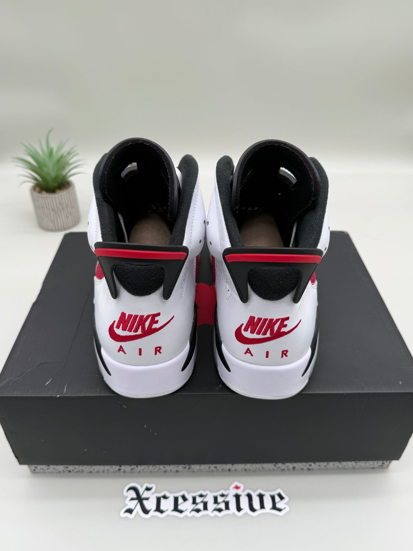Jordan 6 Carmine
