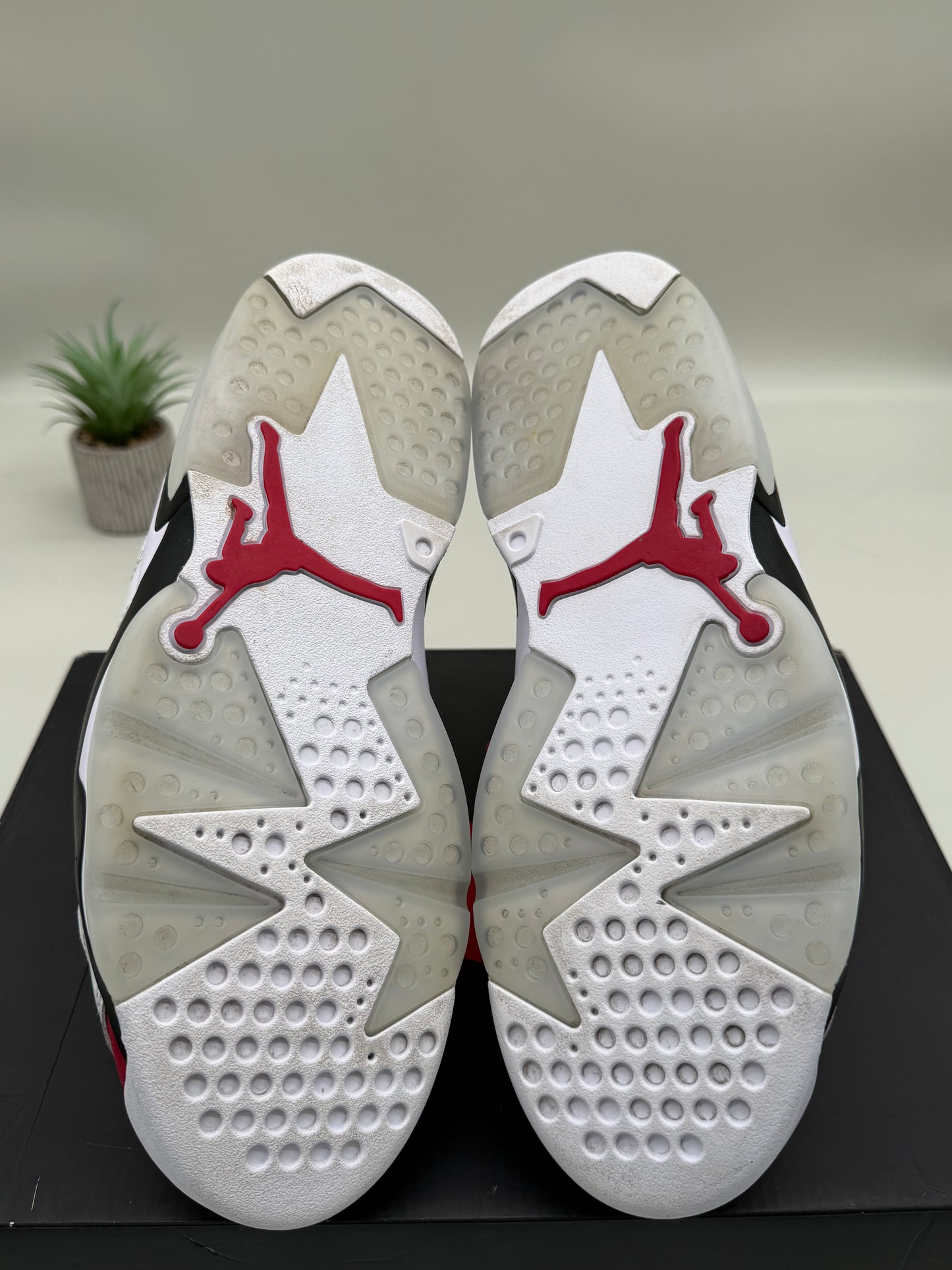 Jordan 6 Carmine