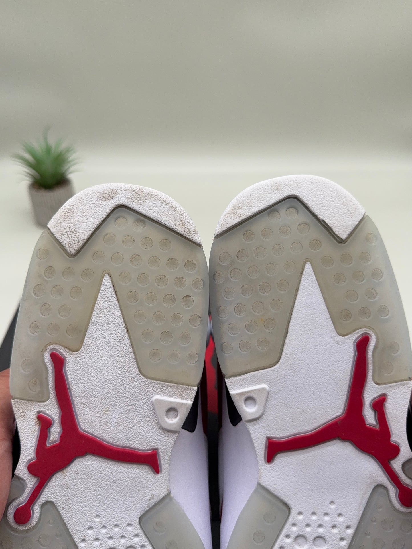 Jordan 6 Carmine