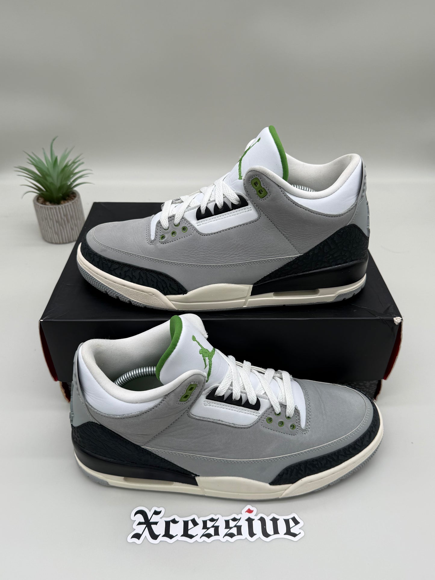 Jordan 3 Chlorophyll