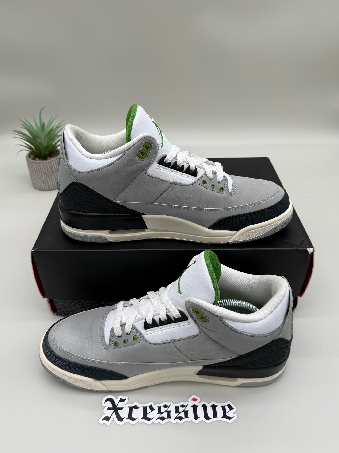 Jordan 3 Chlorophyll