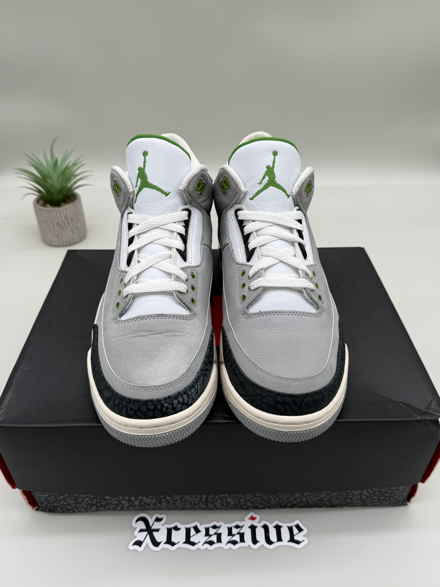 Jordan 3 Chlorophyll