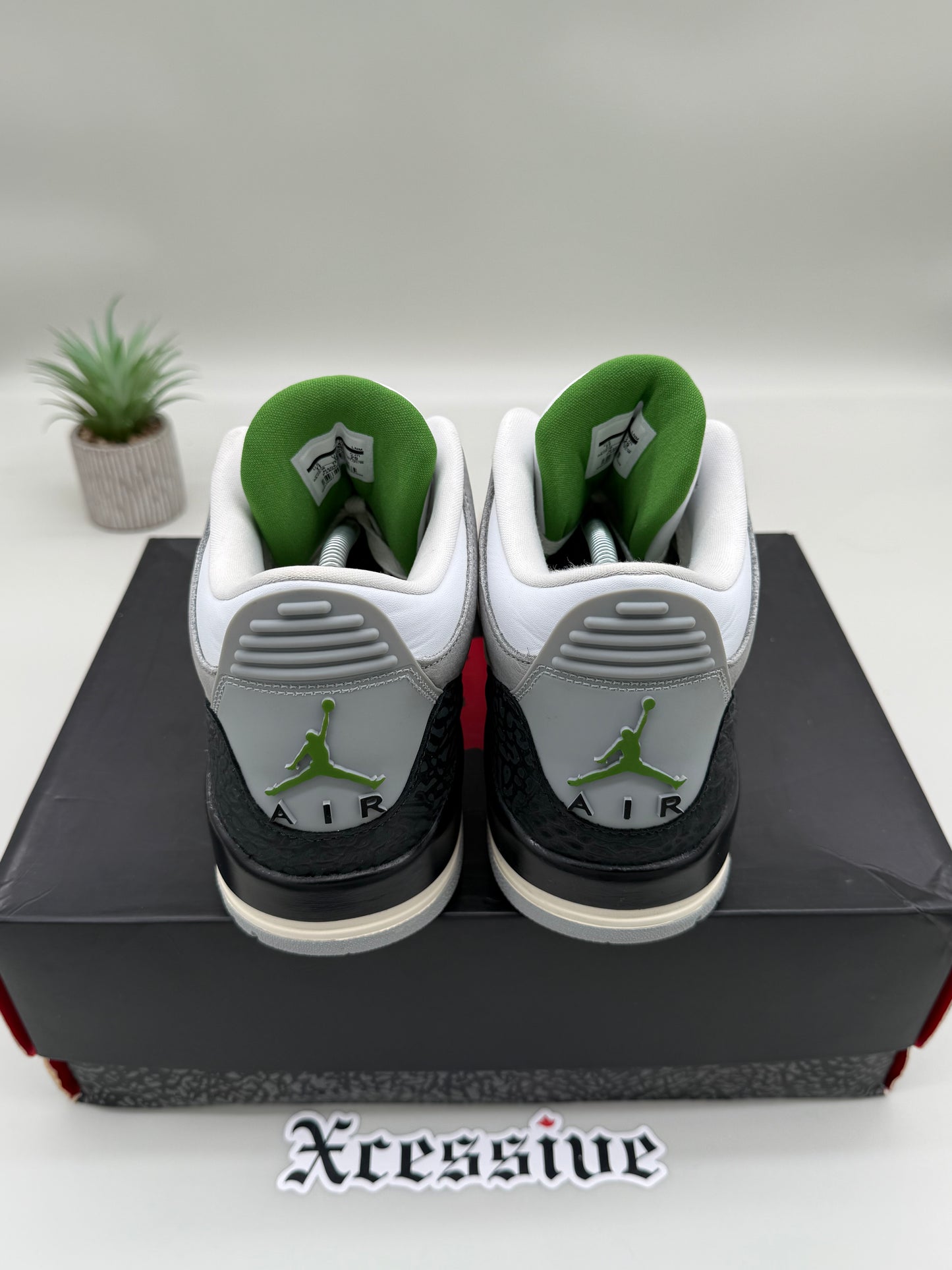 Jordan 3 Chlorophyll