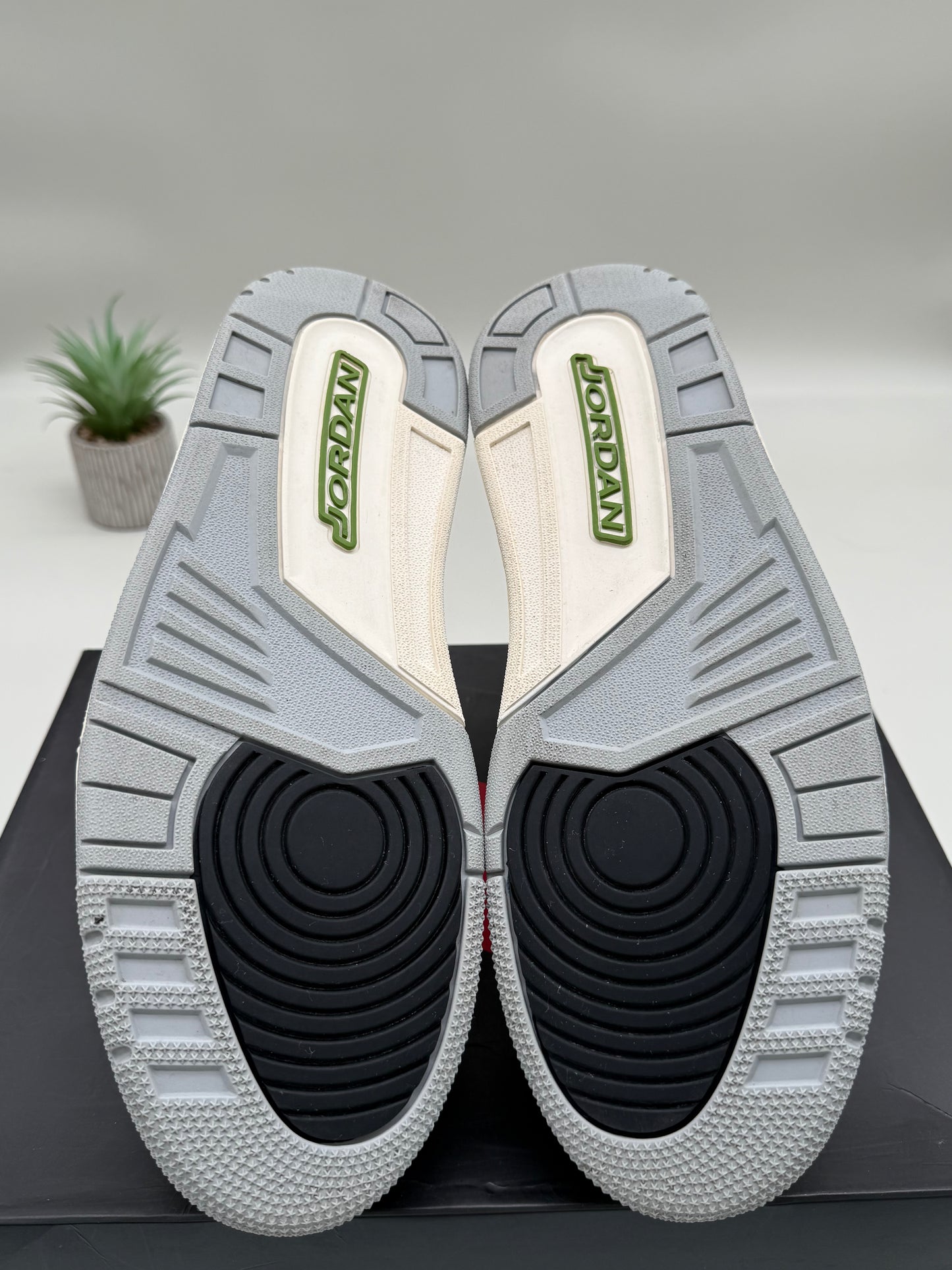 Jordan 3 Chlorophyll