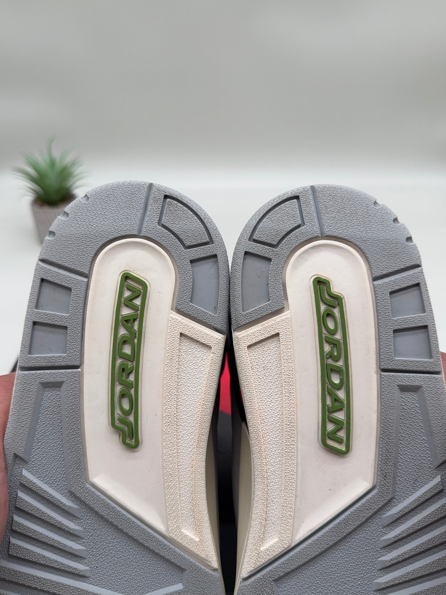 Jordan 3 Chlorophyll