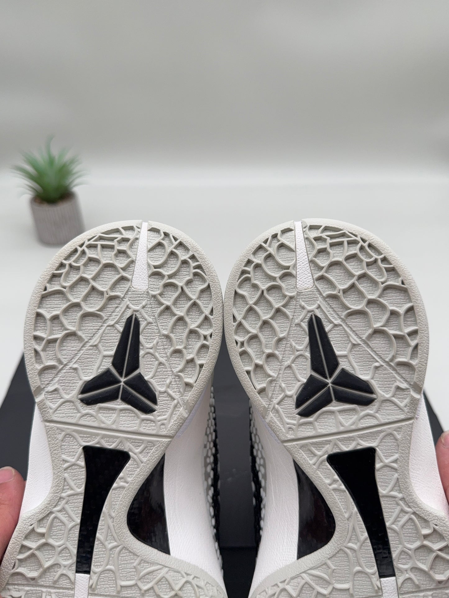 Kobe 6 All-Star