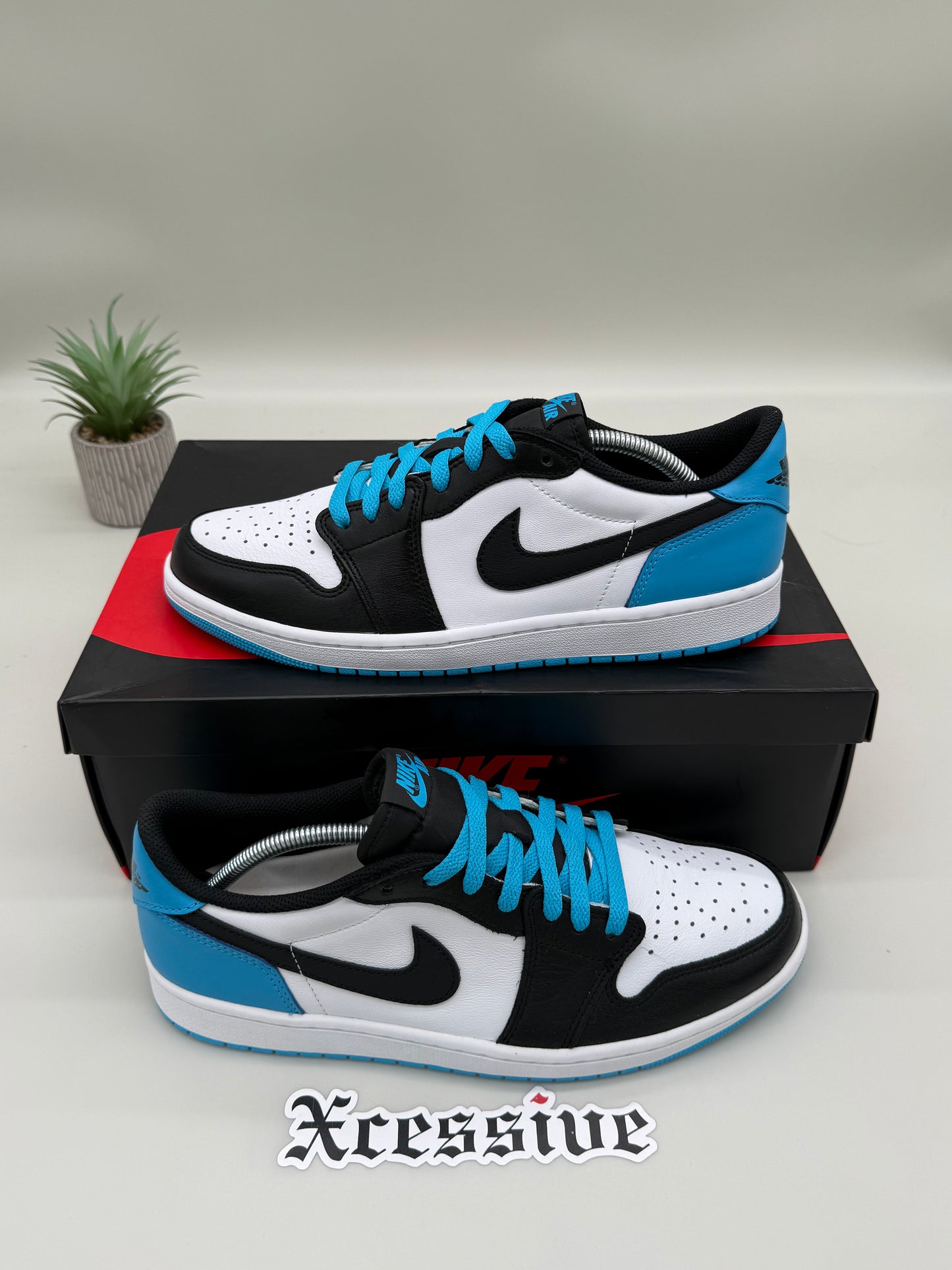Jordan 1 Low Powder Blue