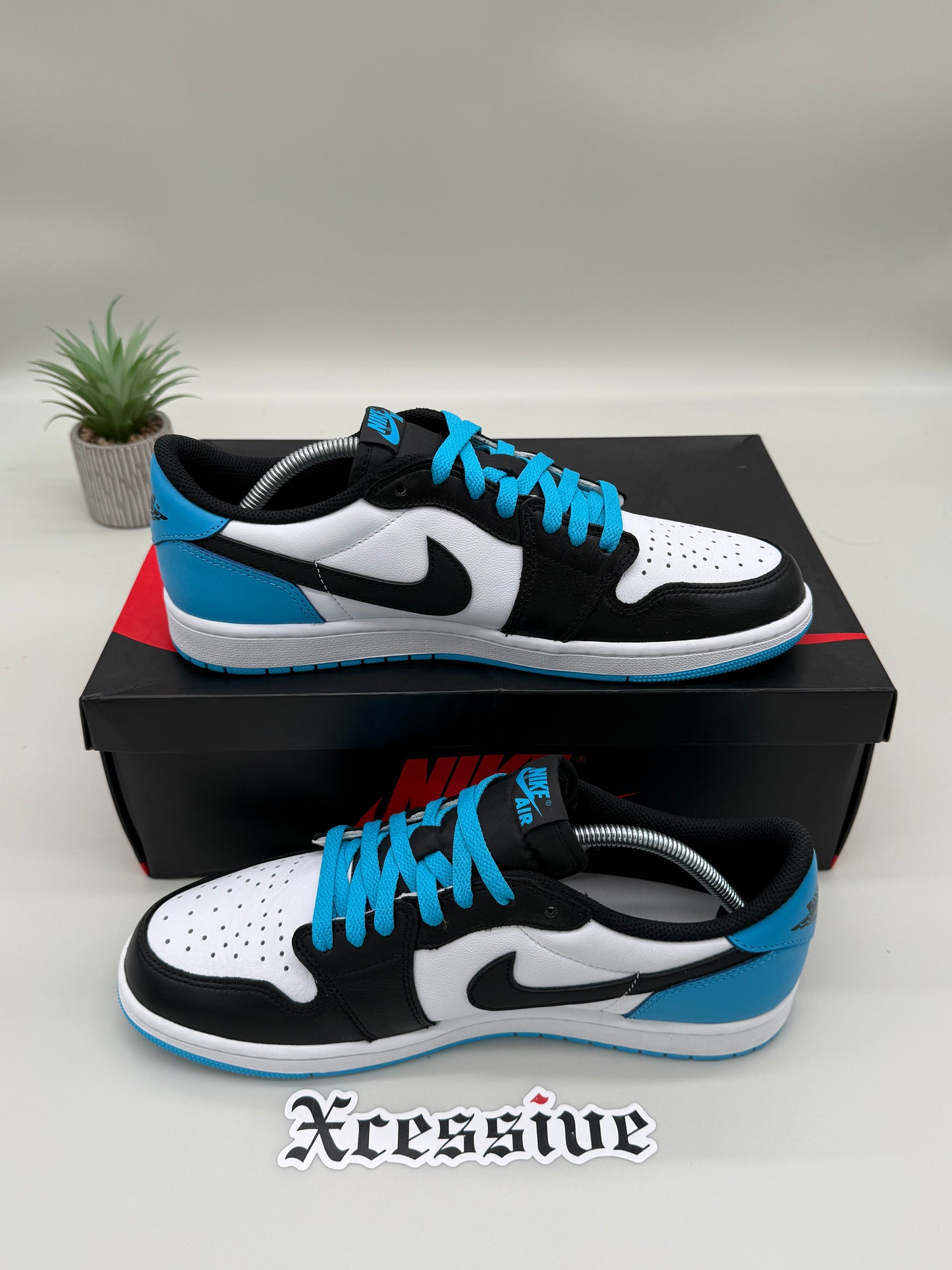 Jordan 1 Low Powder Blue