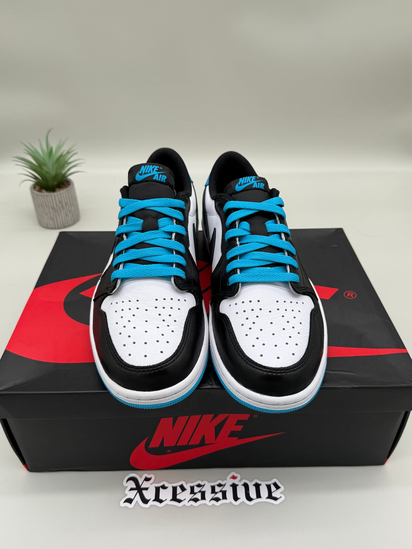 Jordan 1 Low Powder Blue