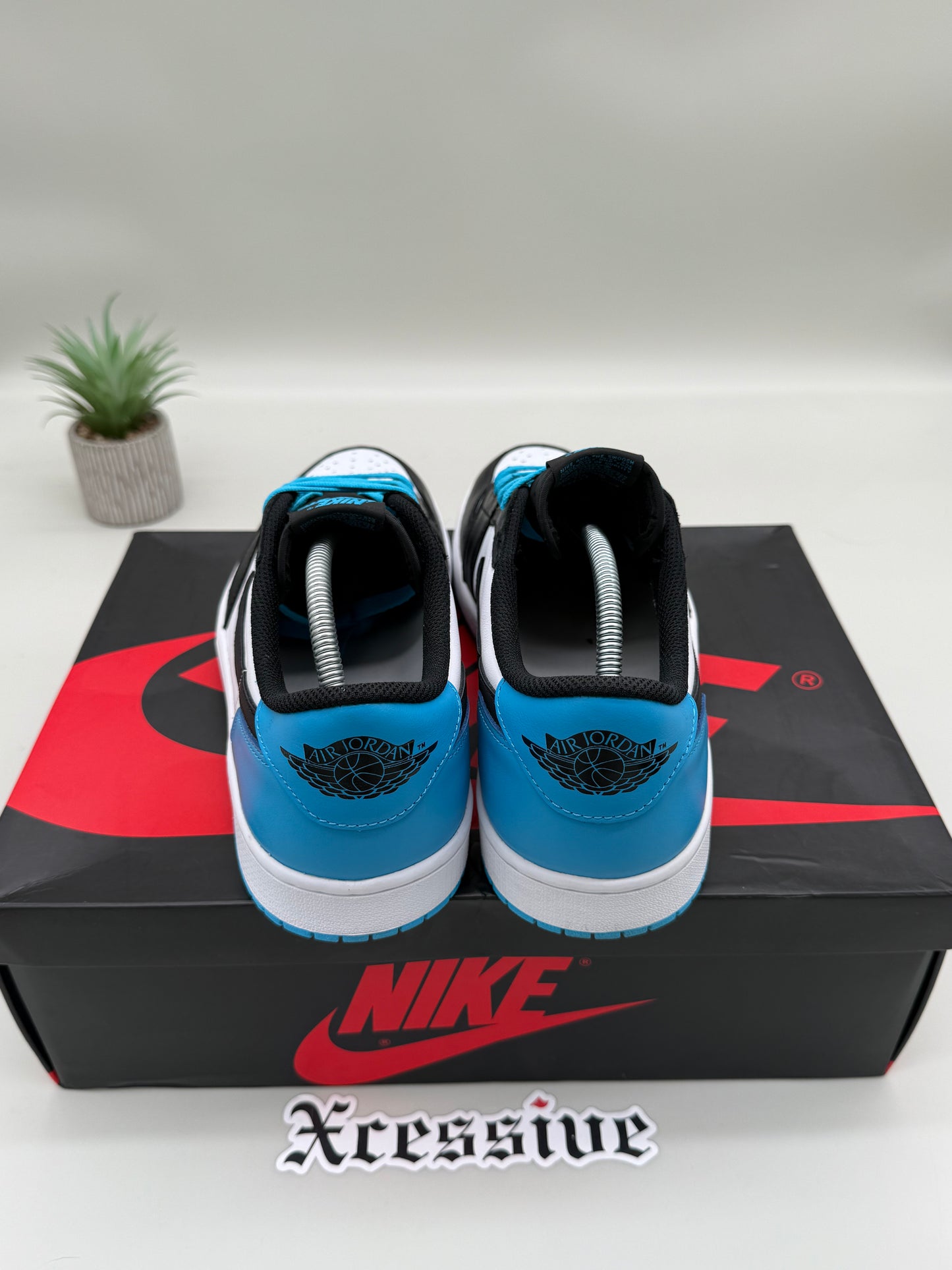 Jordan 1 Low Powder Blue