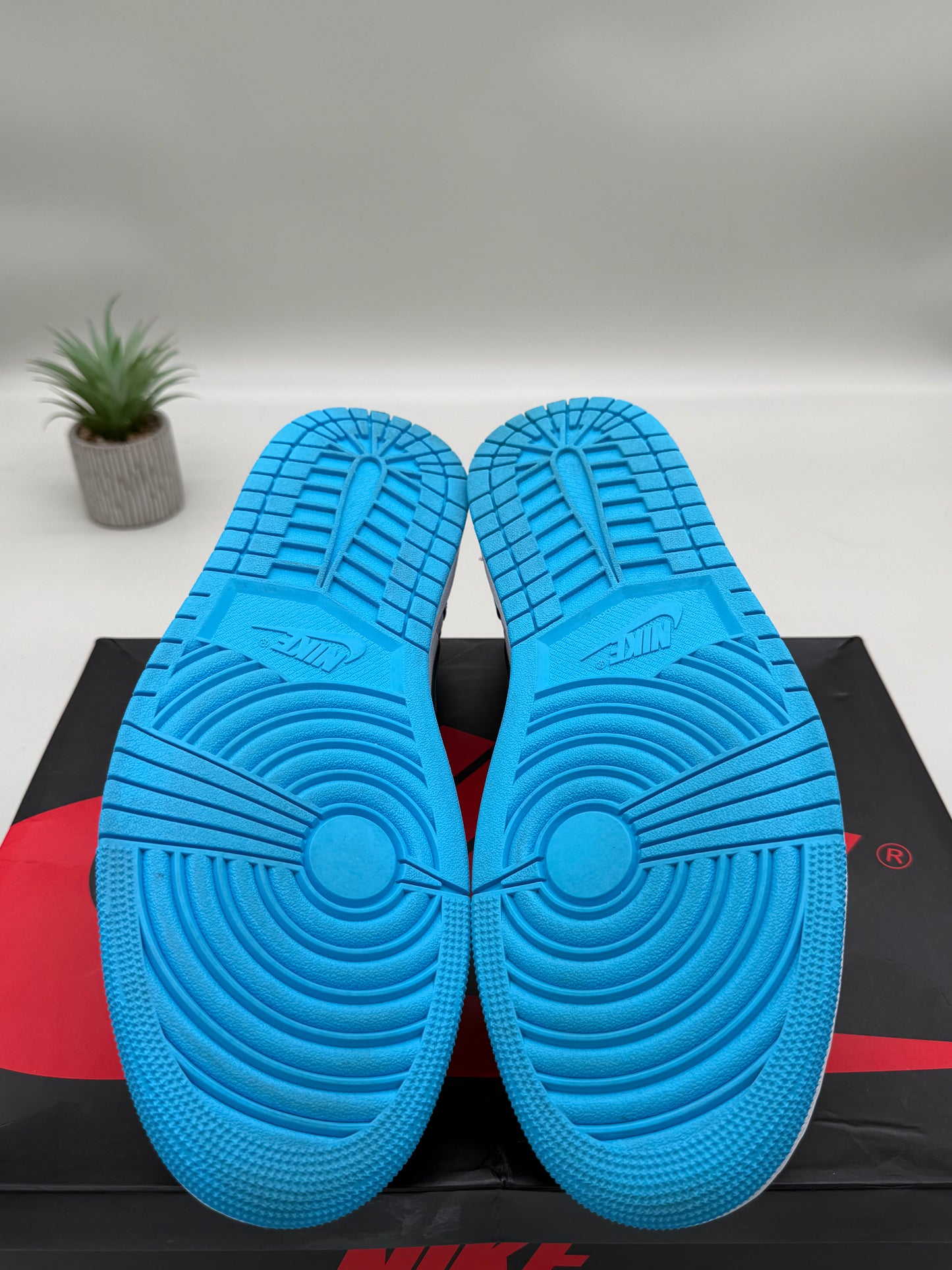 Jordan 1 Low Powder Blue