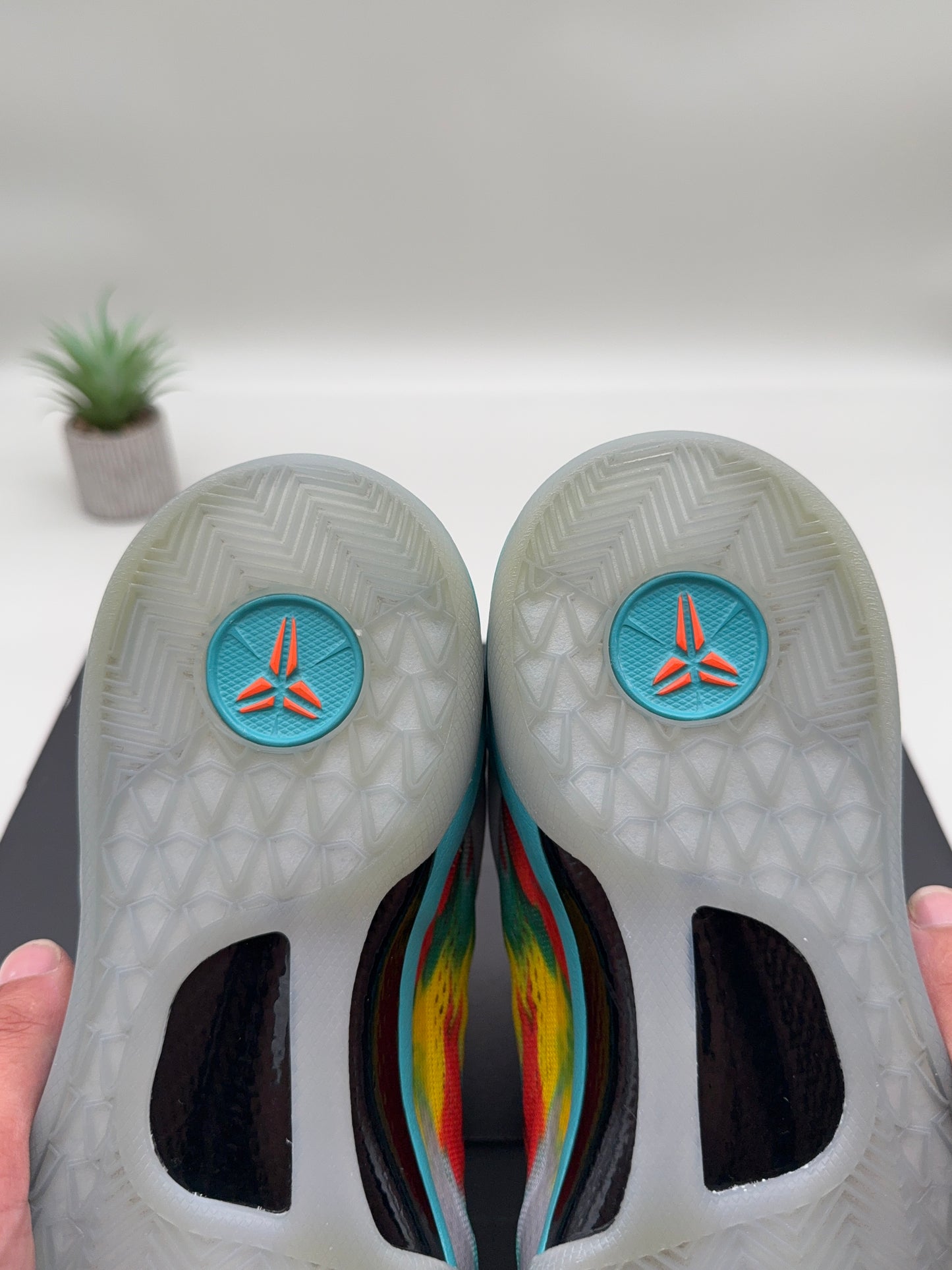 Nike Kobe 8 Venice Beach
