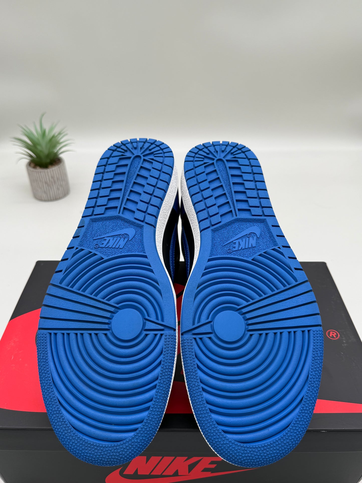 Jordan 1 Low 85 Royal
